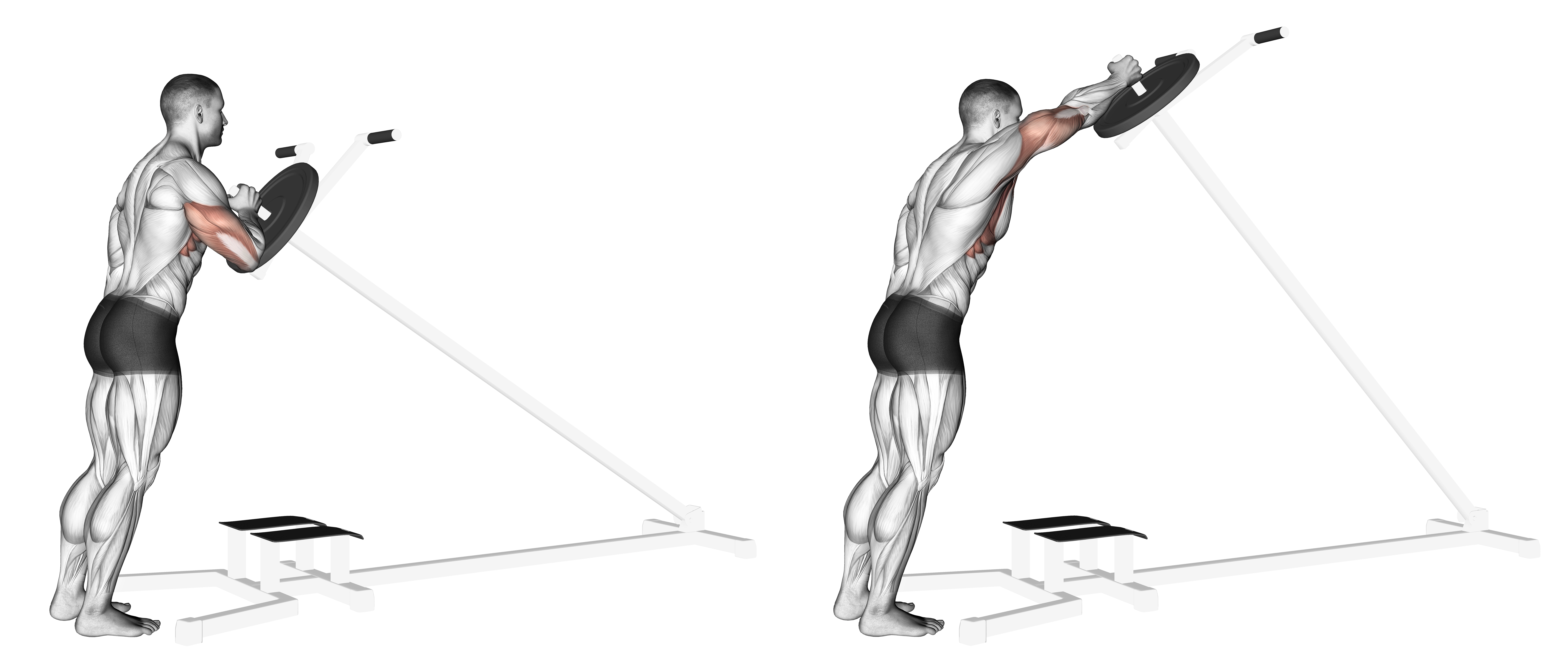 Lever One Arm Shoulder Press (plate Loaded)