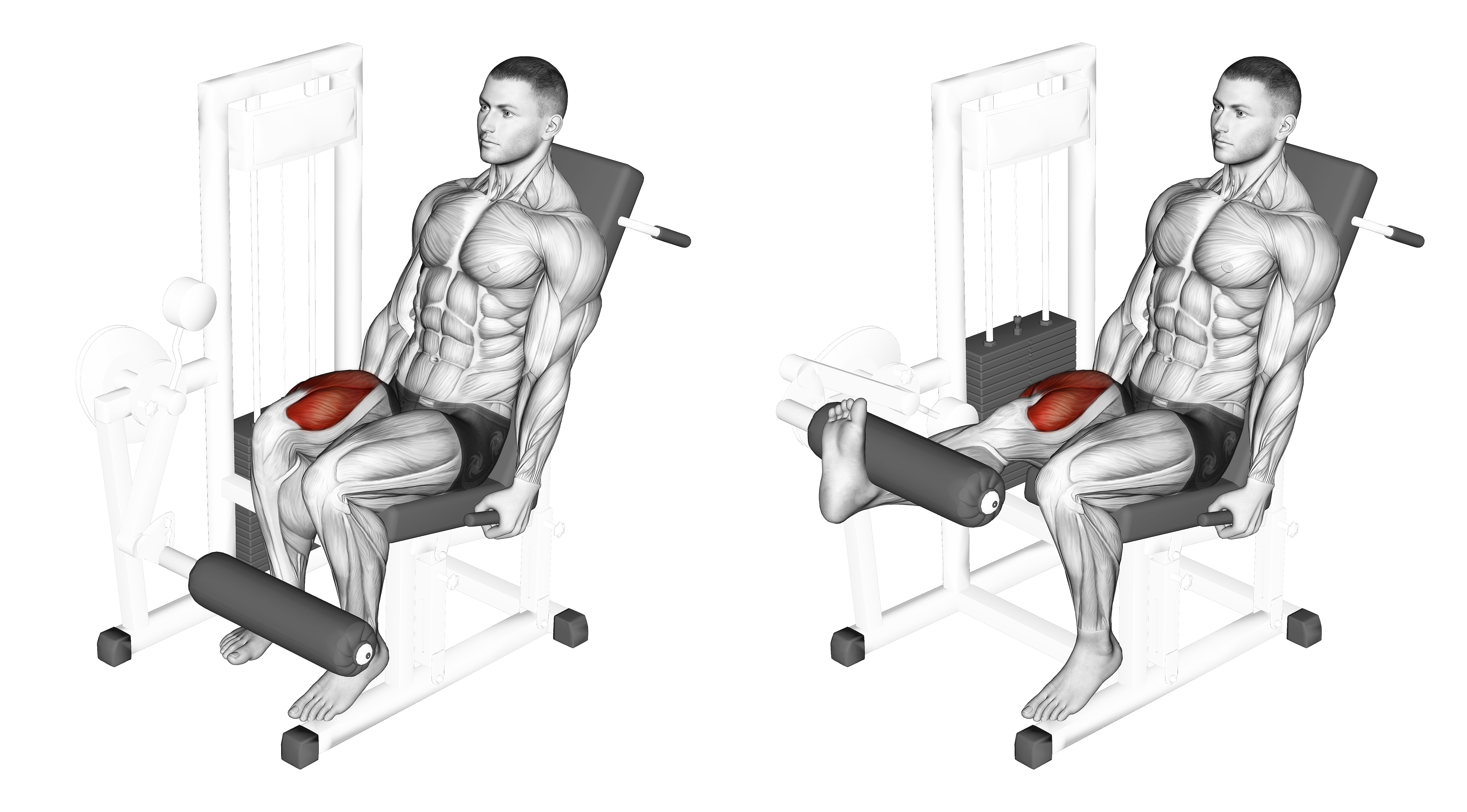 Lever One Leg Extension