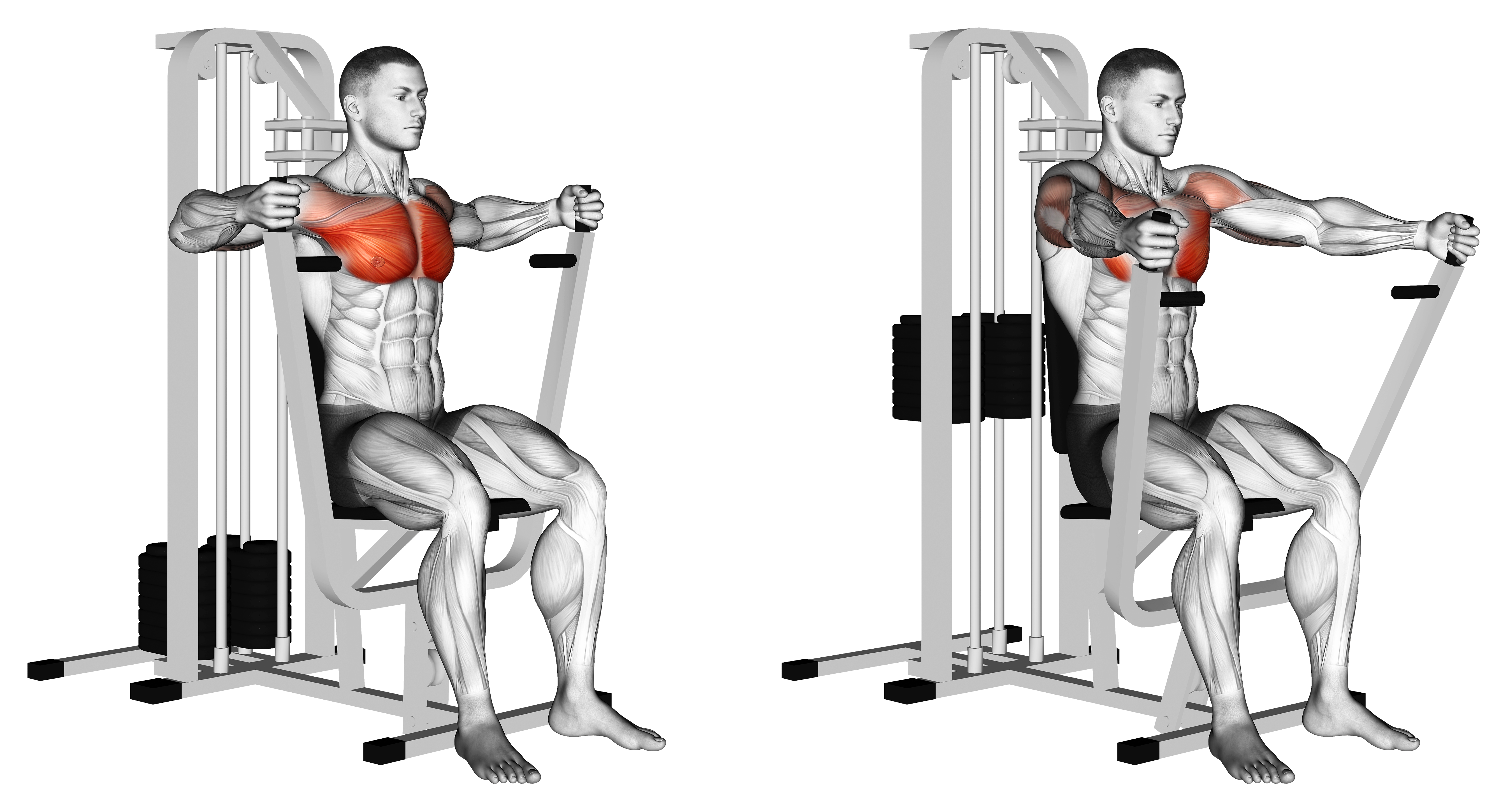 Lever Parallel Chest Press