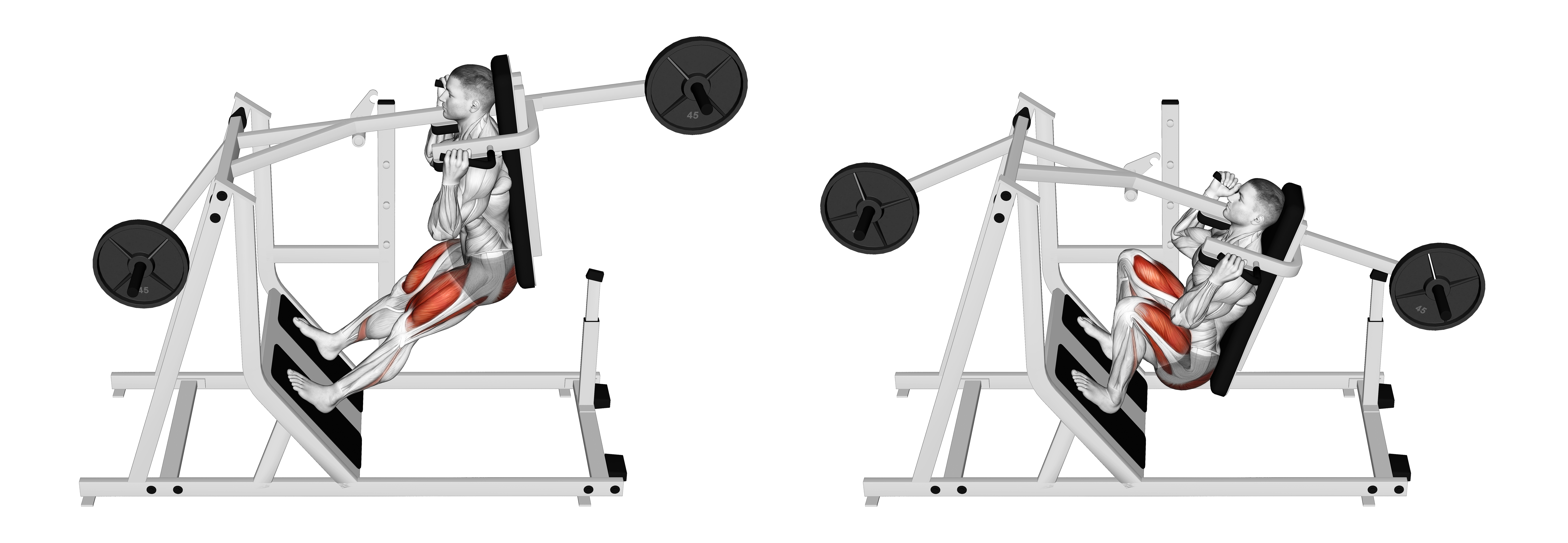 Lever Pendulum Squat (plate Loaded)