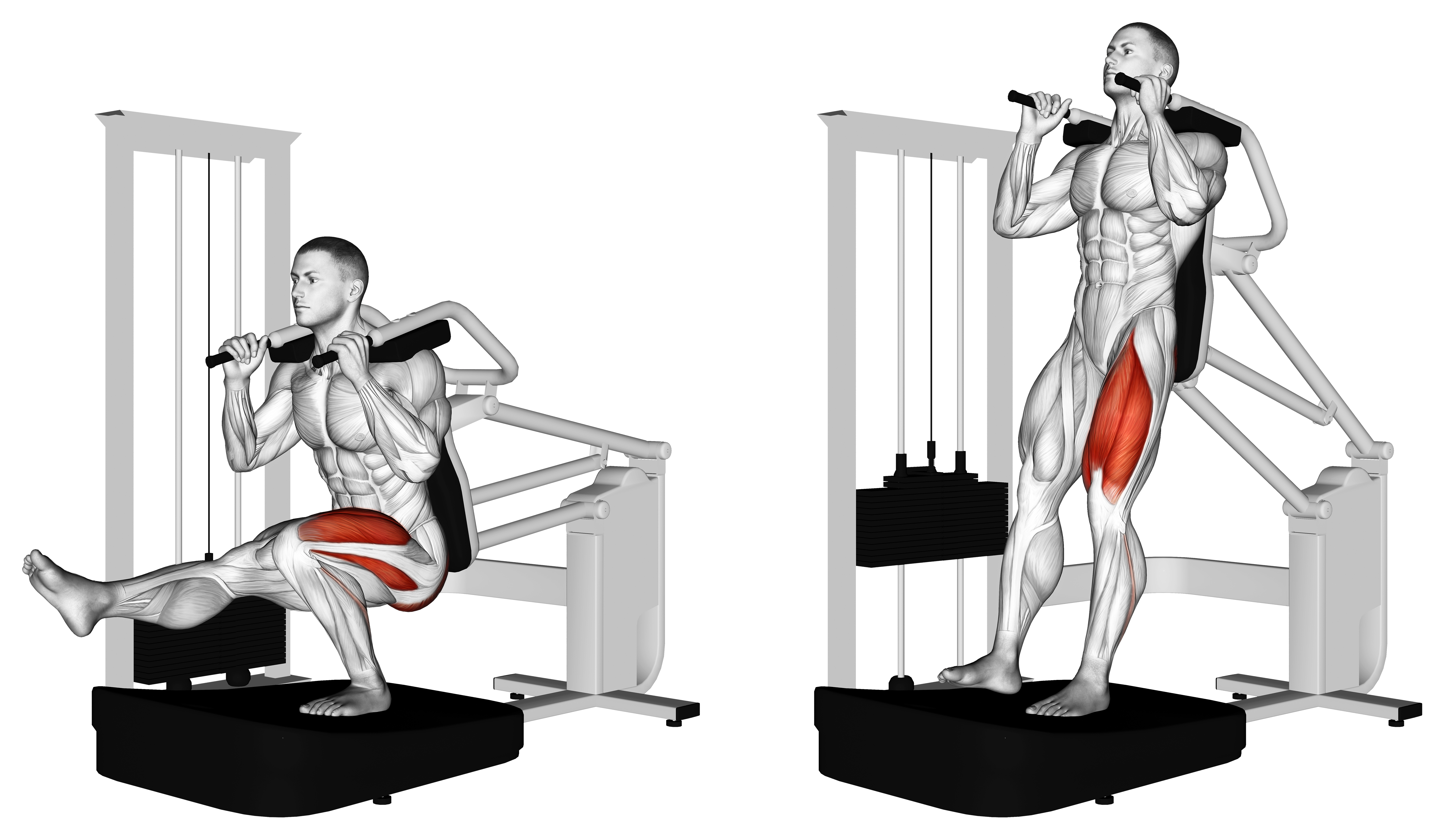 Lever Pistol Squat