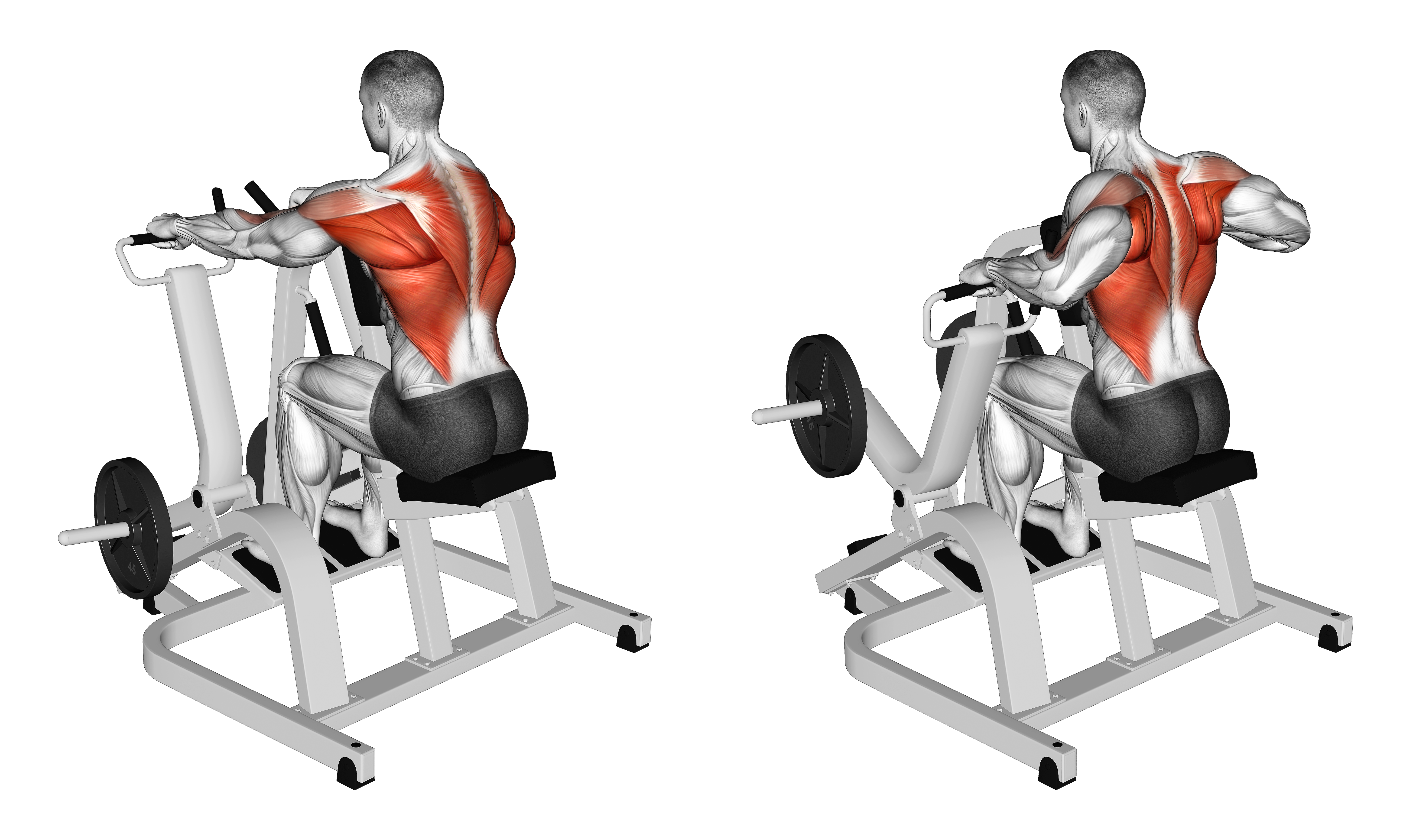 Lever Pronated Grip Seated Row (plate Loaded)