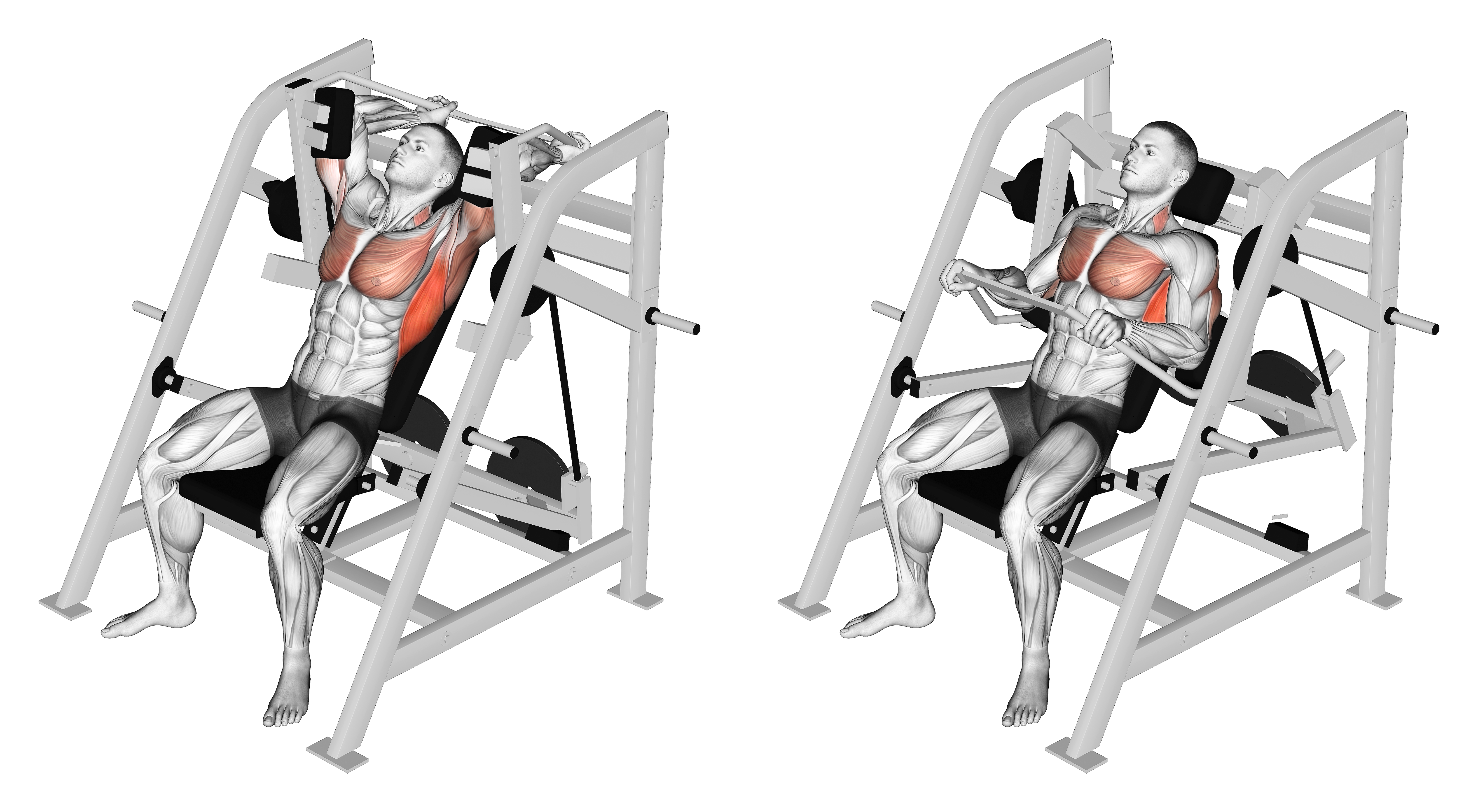 Lever Pullover (plate Loaded)