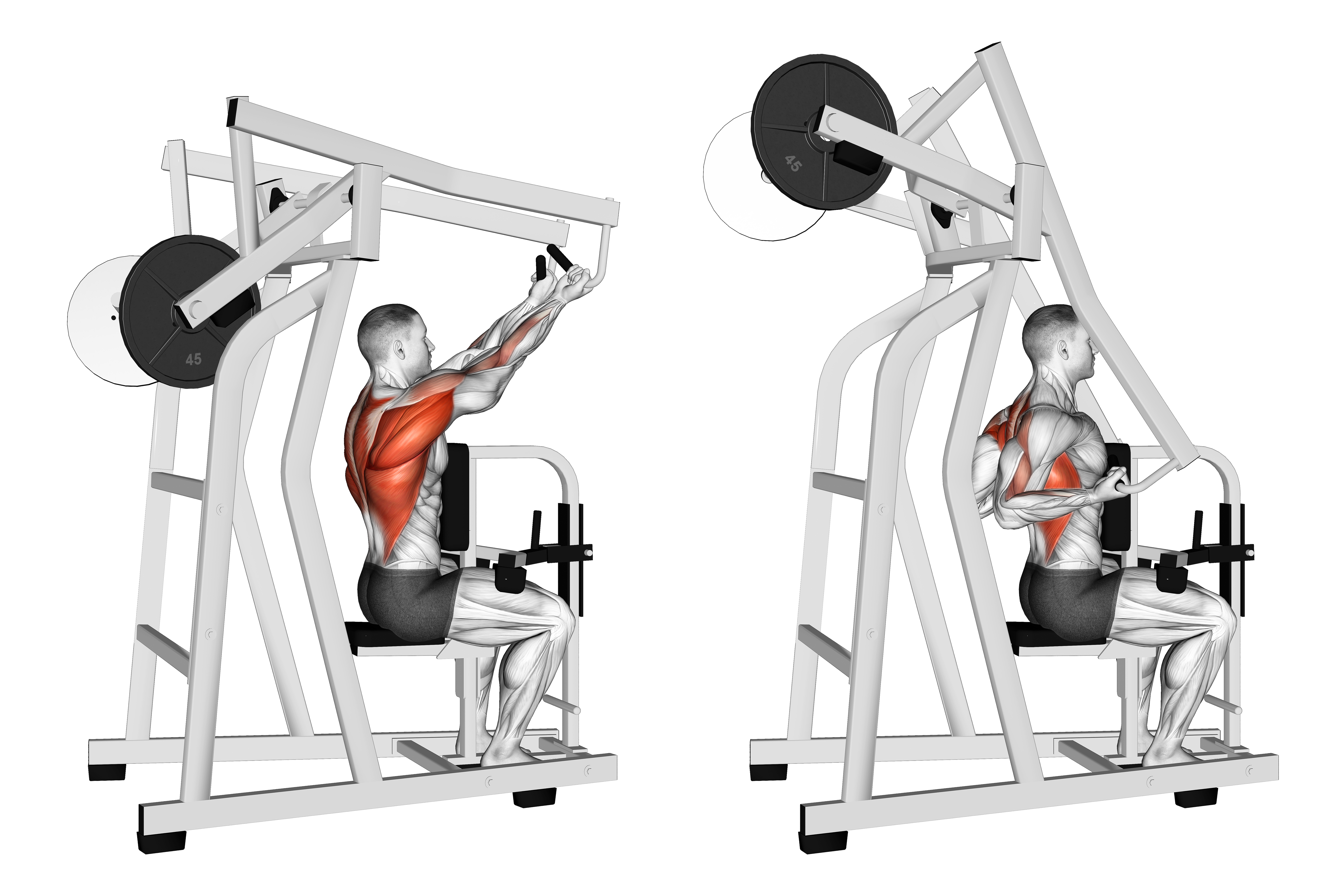 Lever Reverse Grip High Row (plate Loaded)