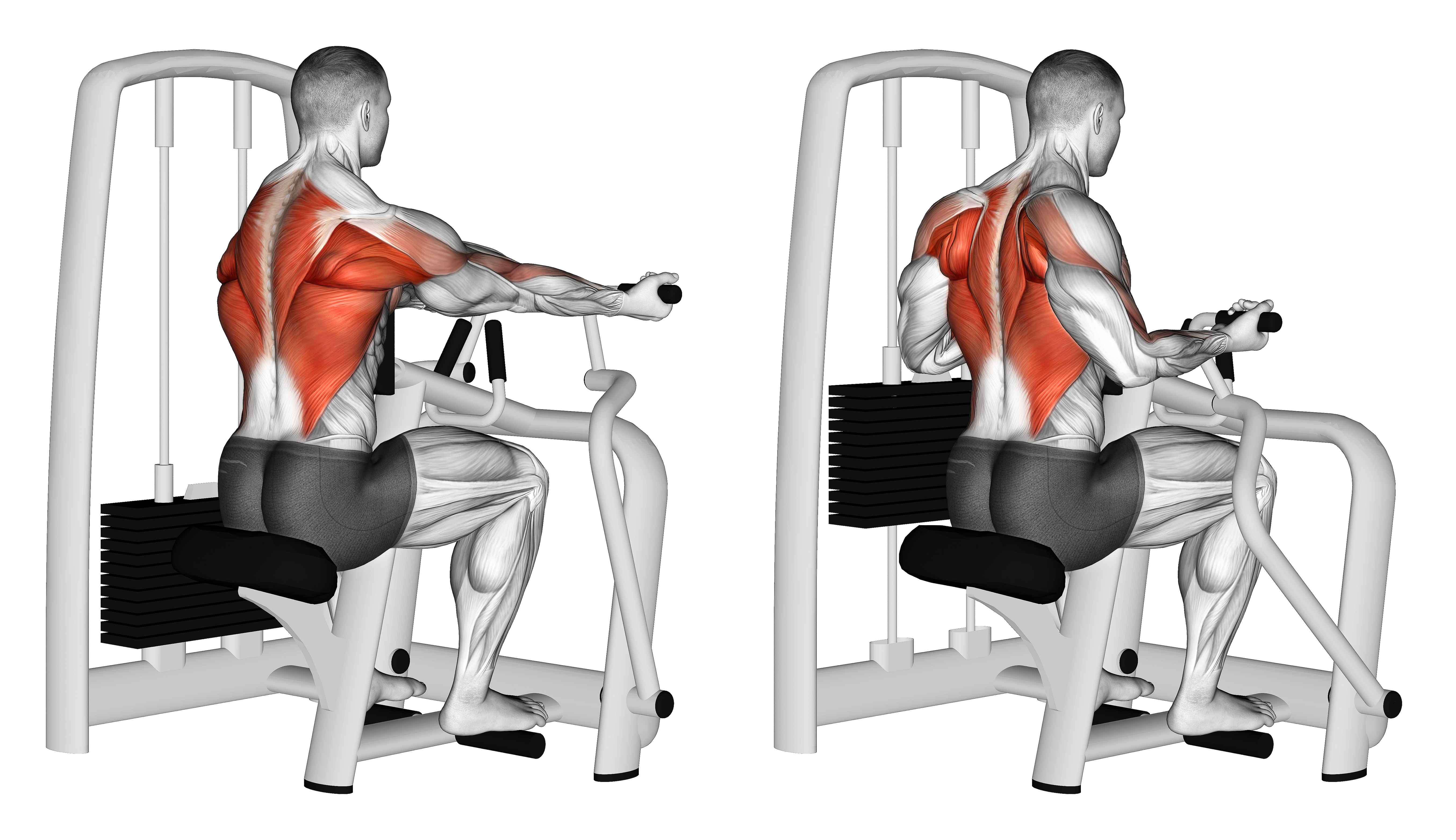 Lever Reverse Grip Vertical Row