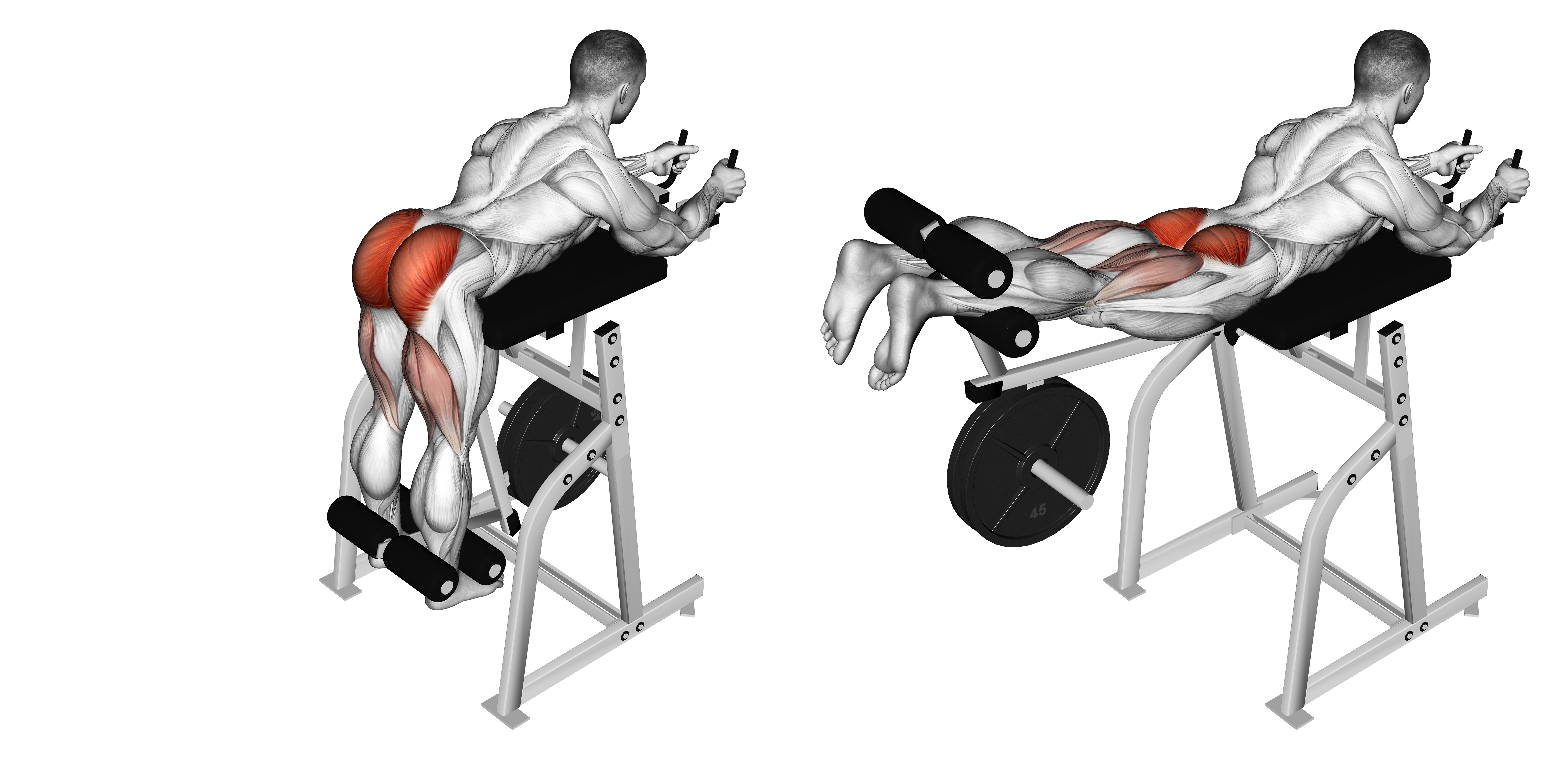 Lever Reverse Hyperextension (plate Loaded)