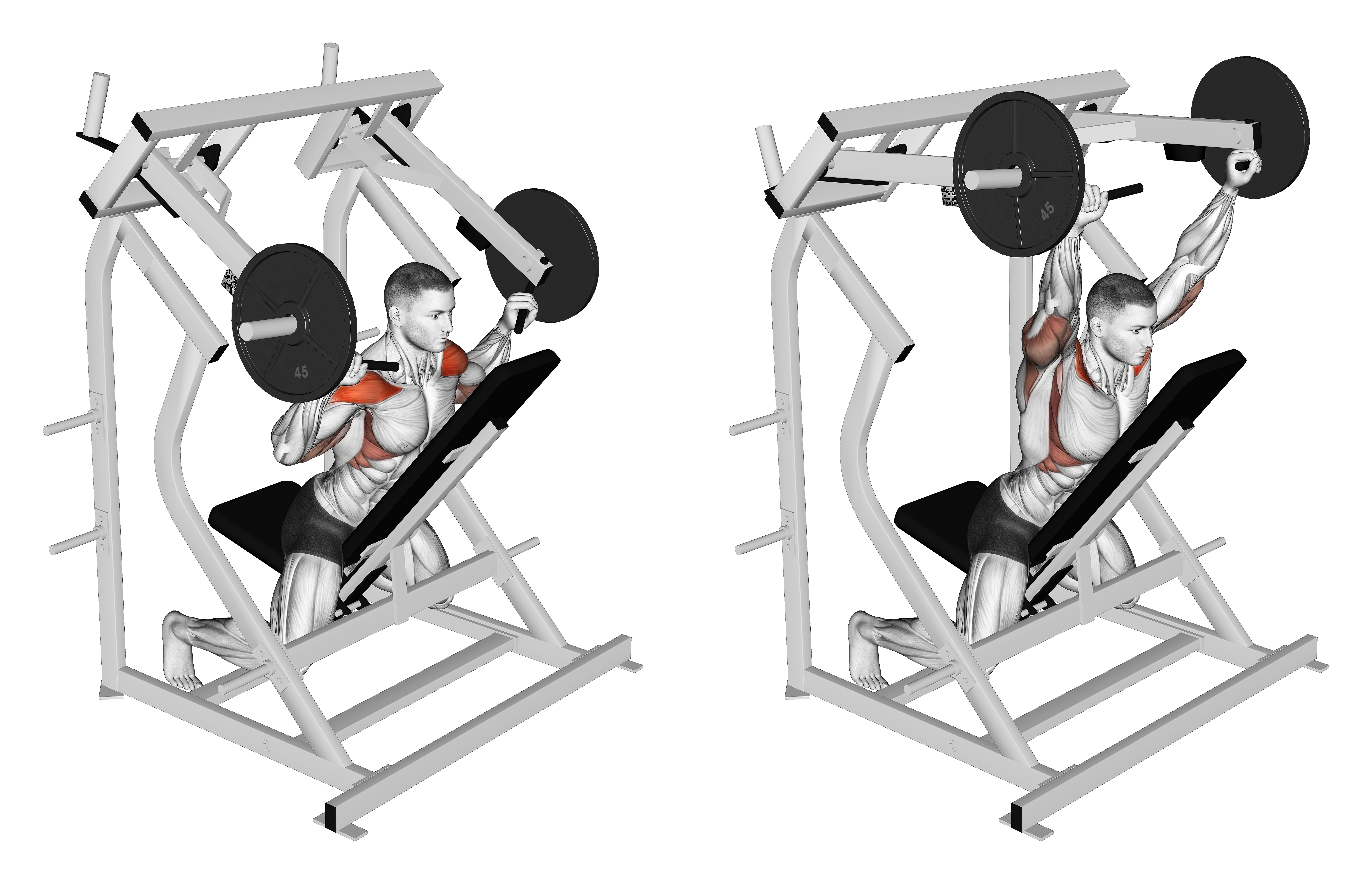 Lever Reverse Shoulder Press (plate Loaded)