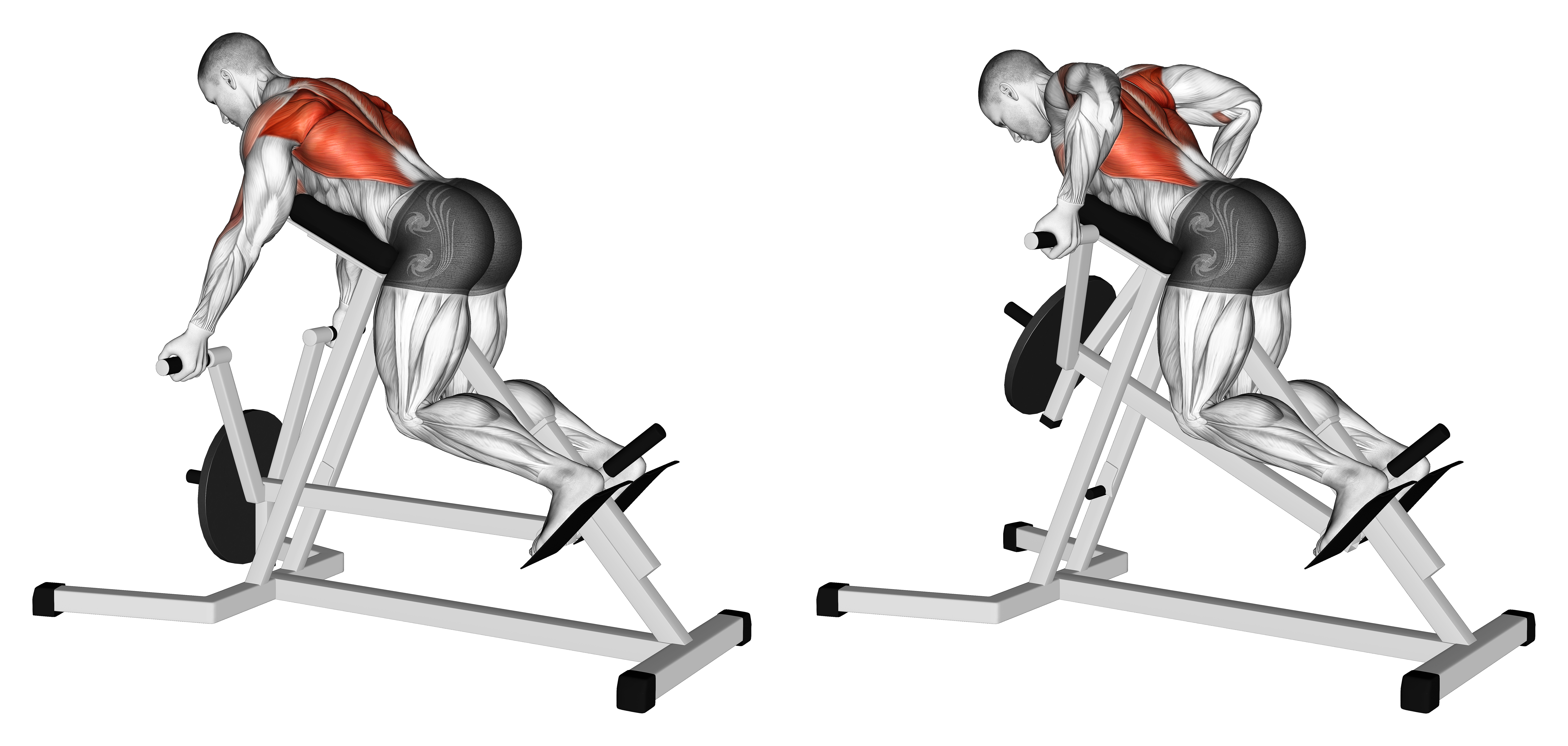 Lever Reverse T Bar Row