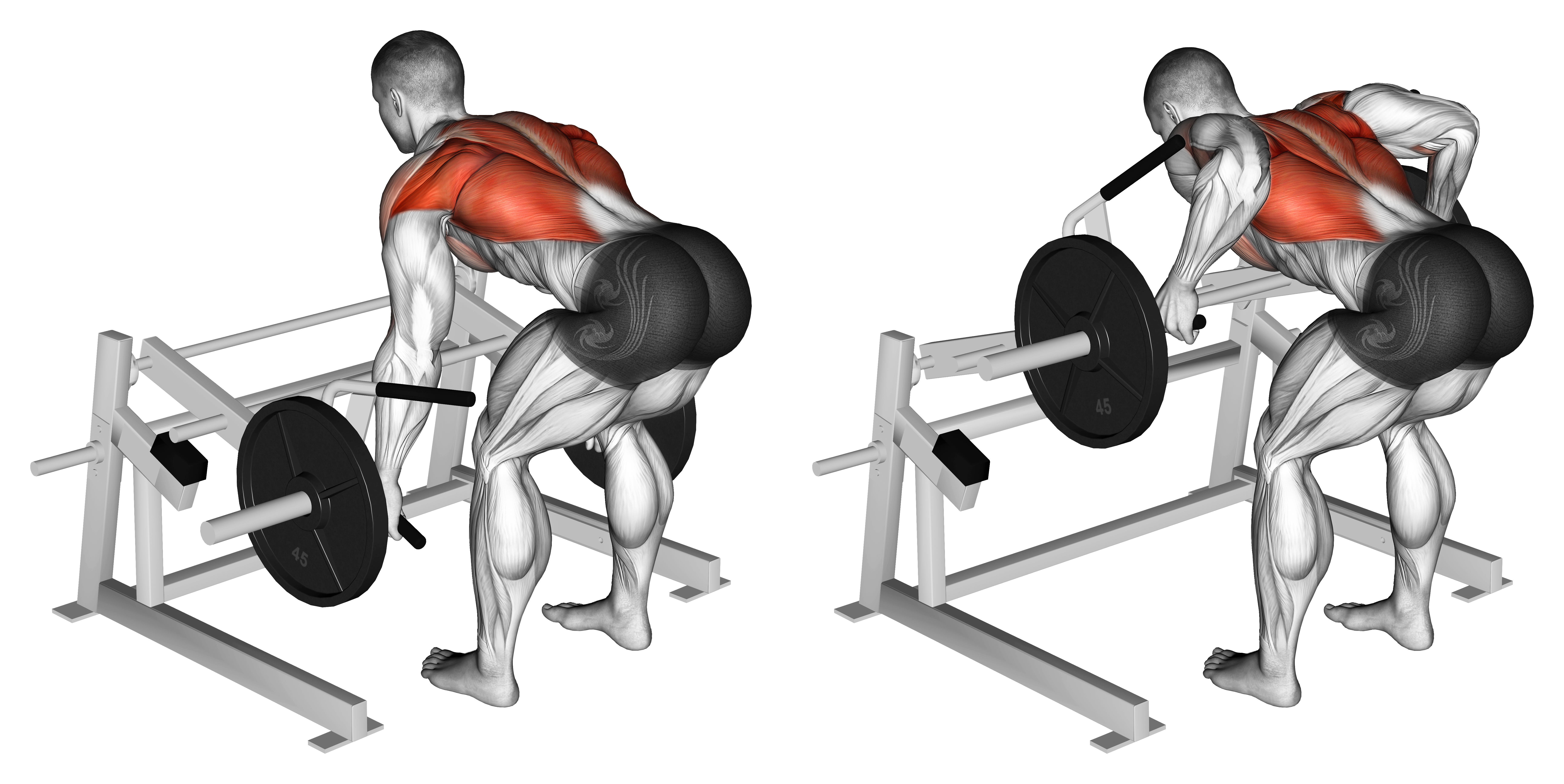 Lever Row (plate Loaded)
