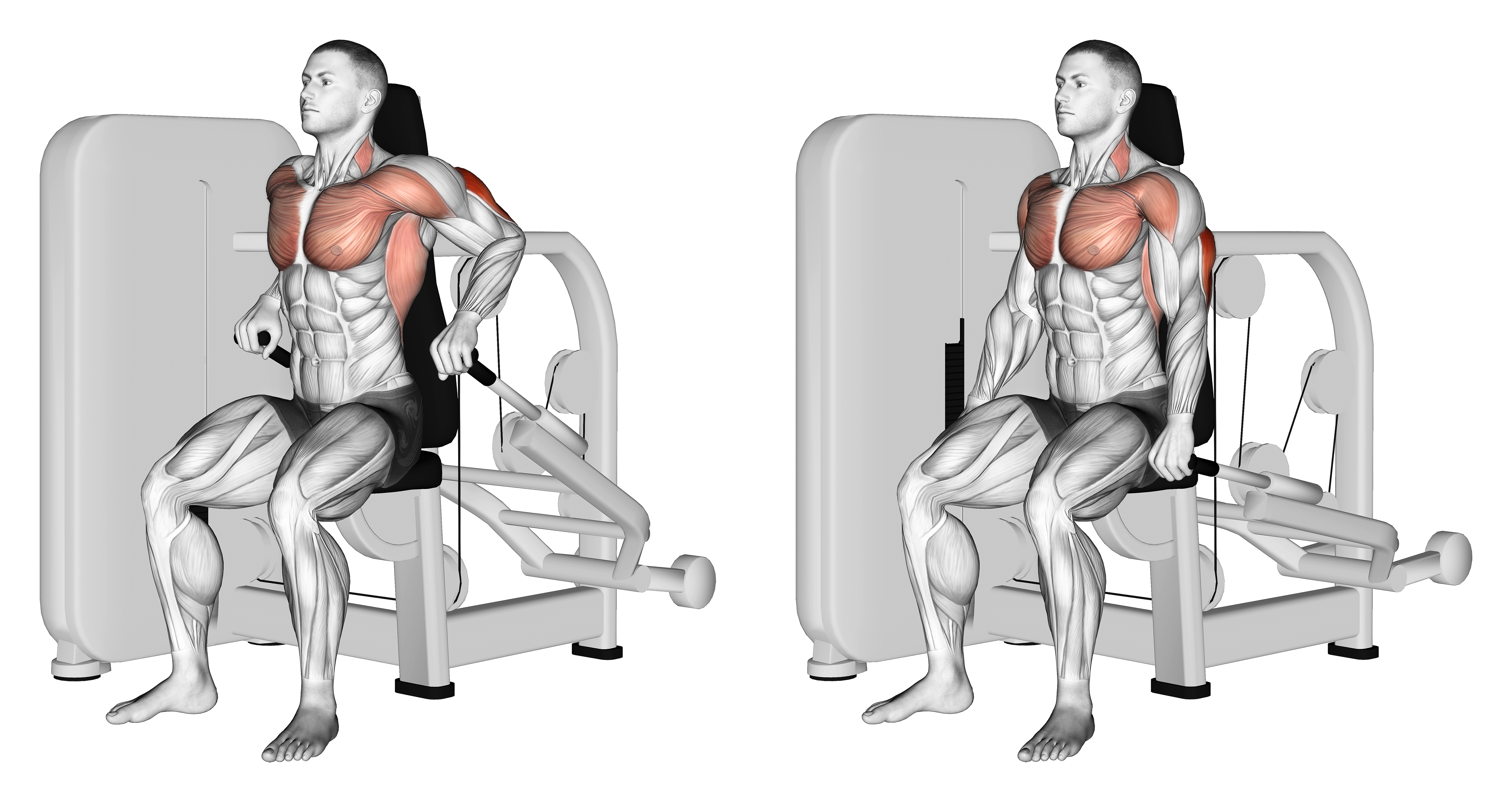 Lever Seated Dip