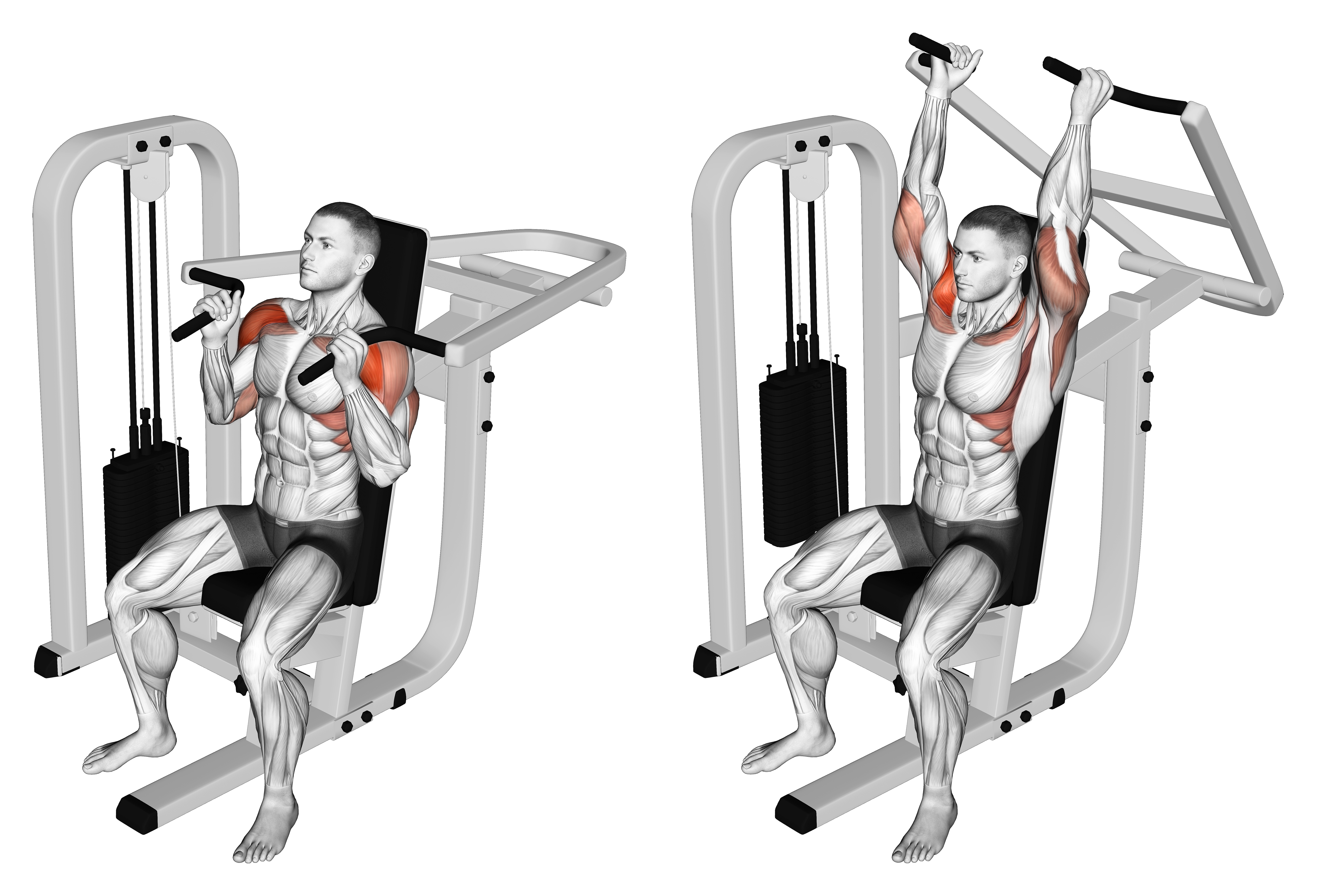 Lever Seated Hammer Grip Shoulder Press