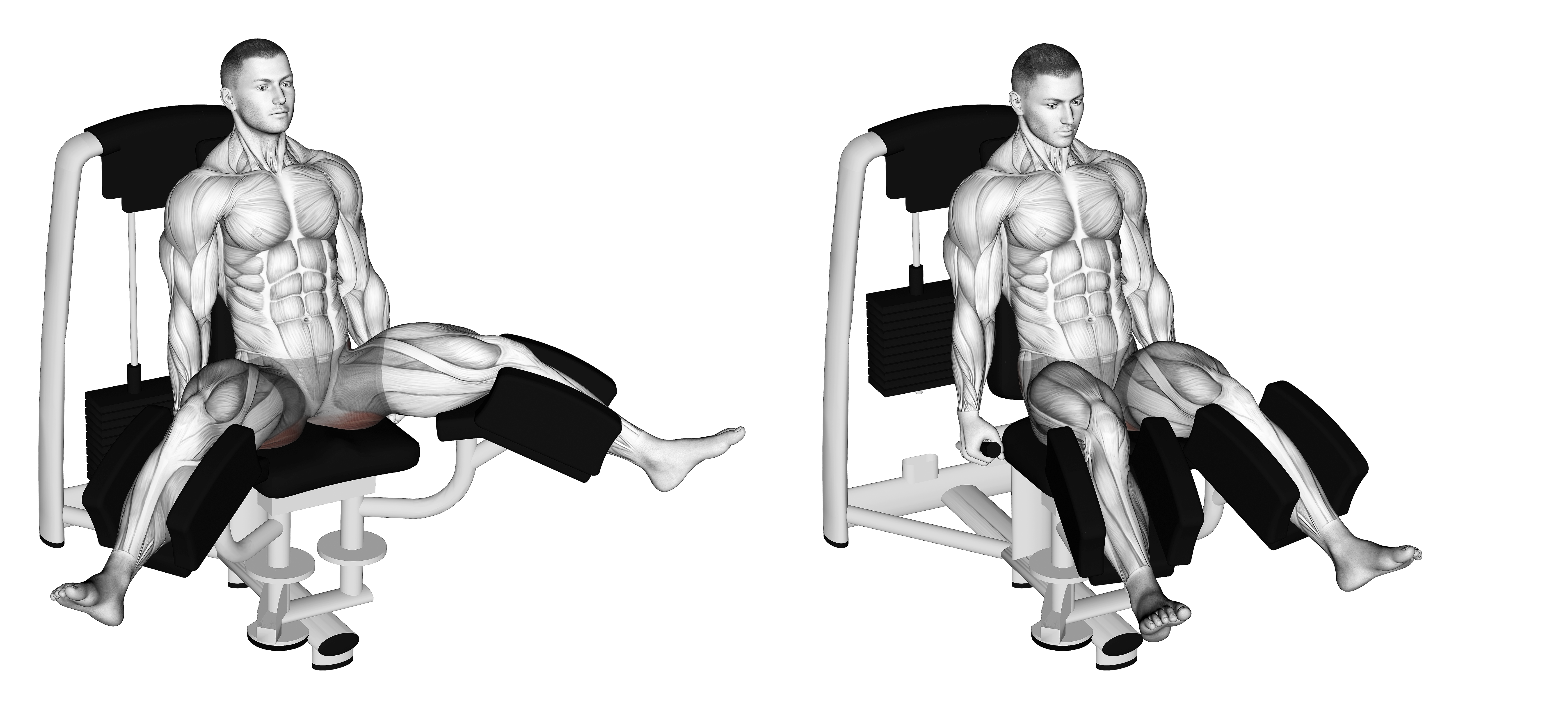 Lever Seated Hip Adduction (version 2)