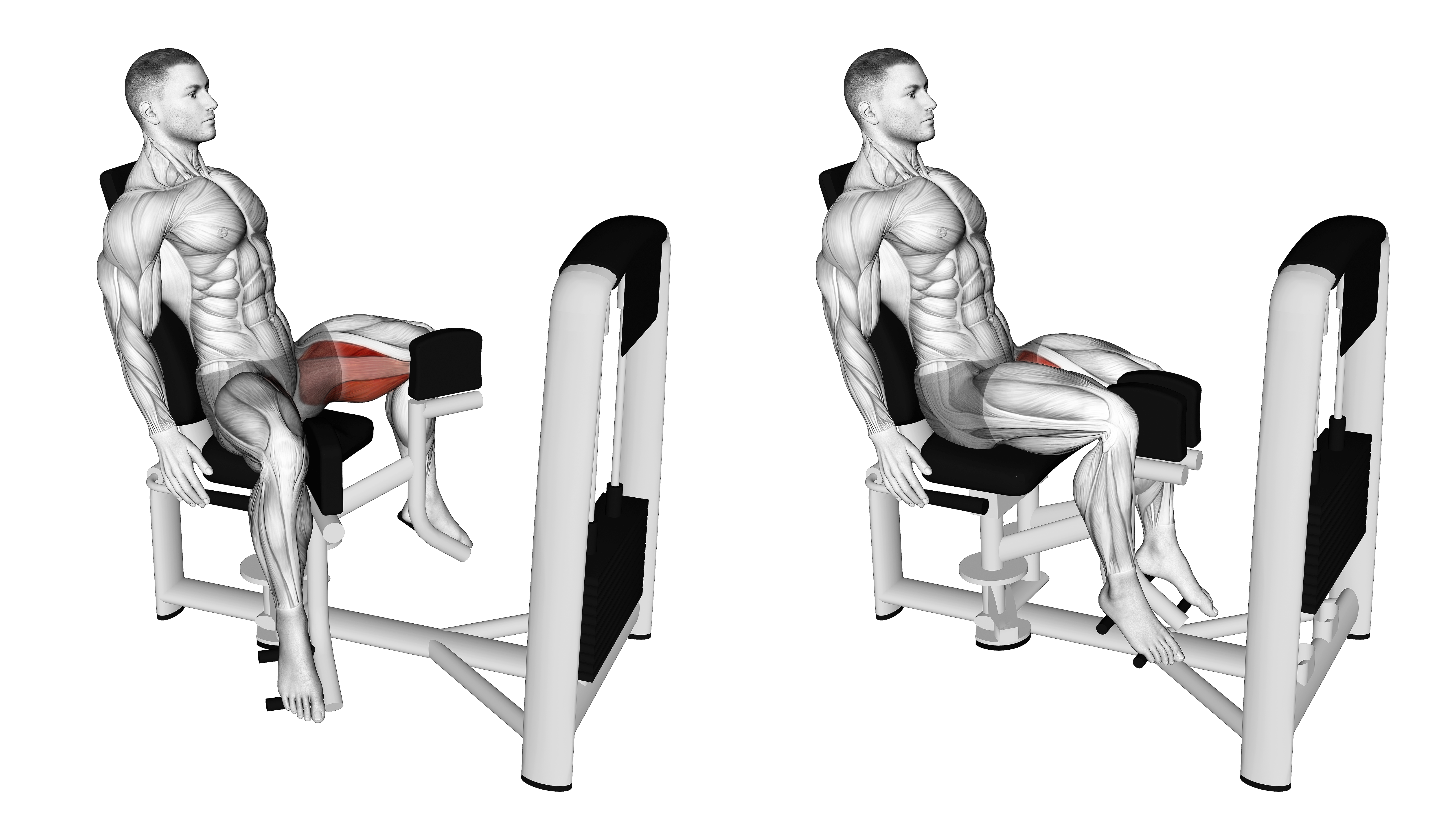 Lever Seated Hip Adduction