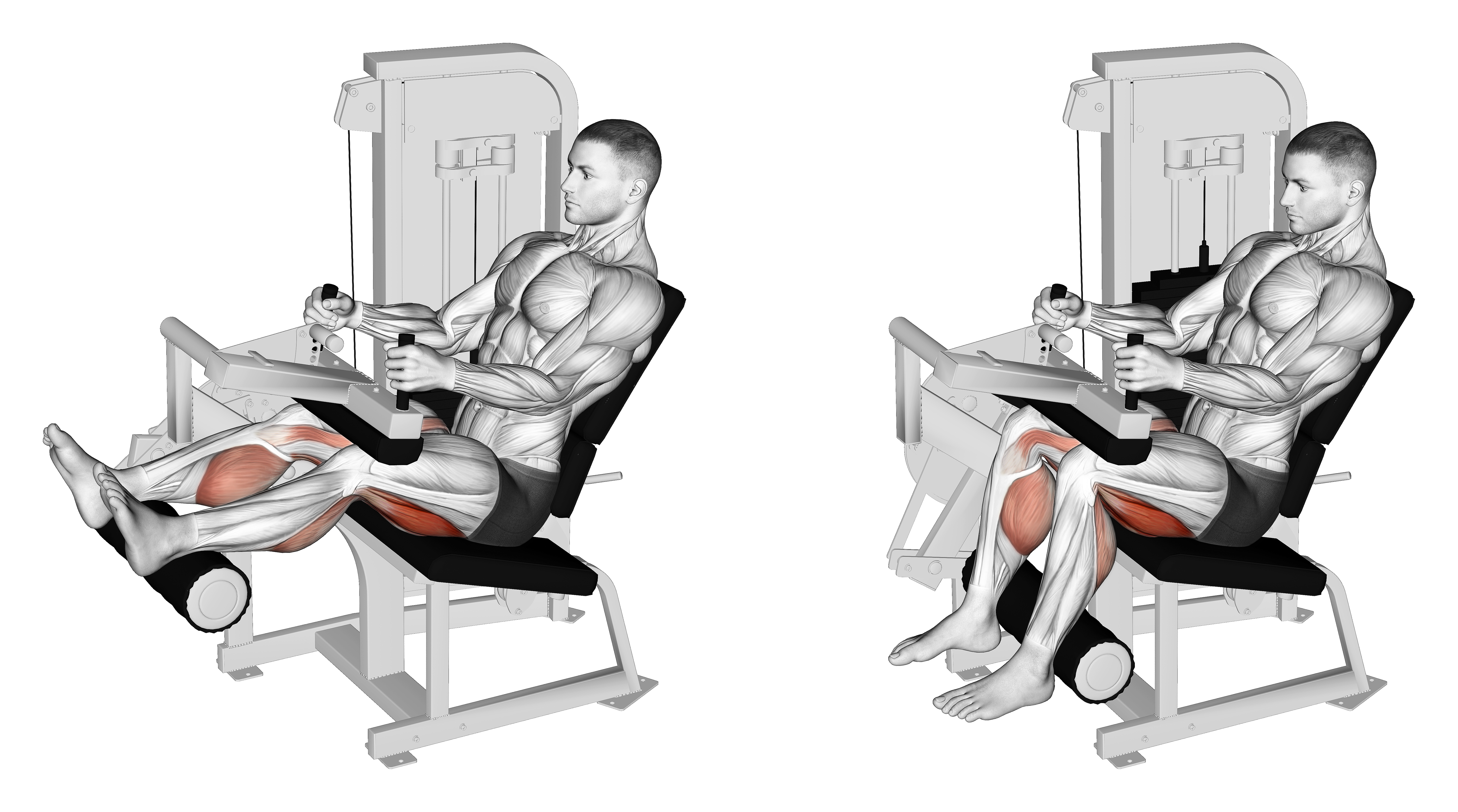 Lever Seated Leg Curl