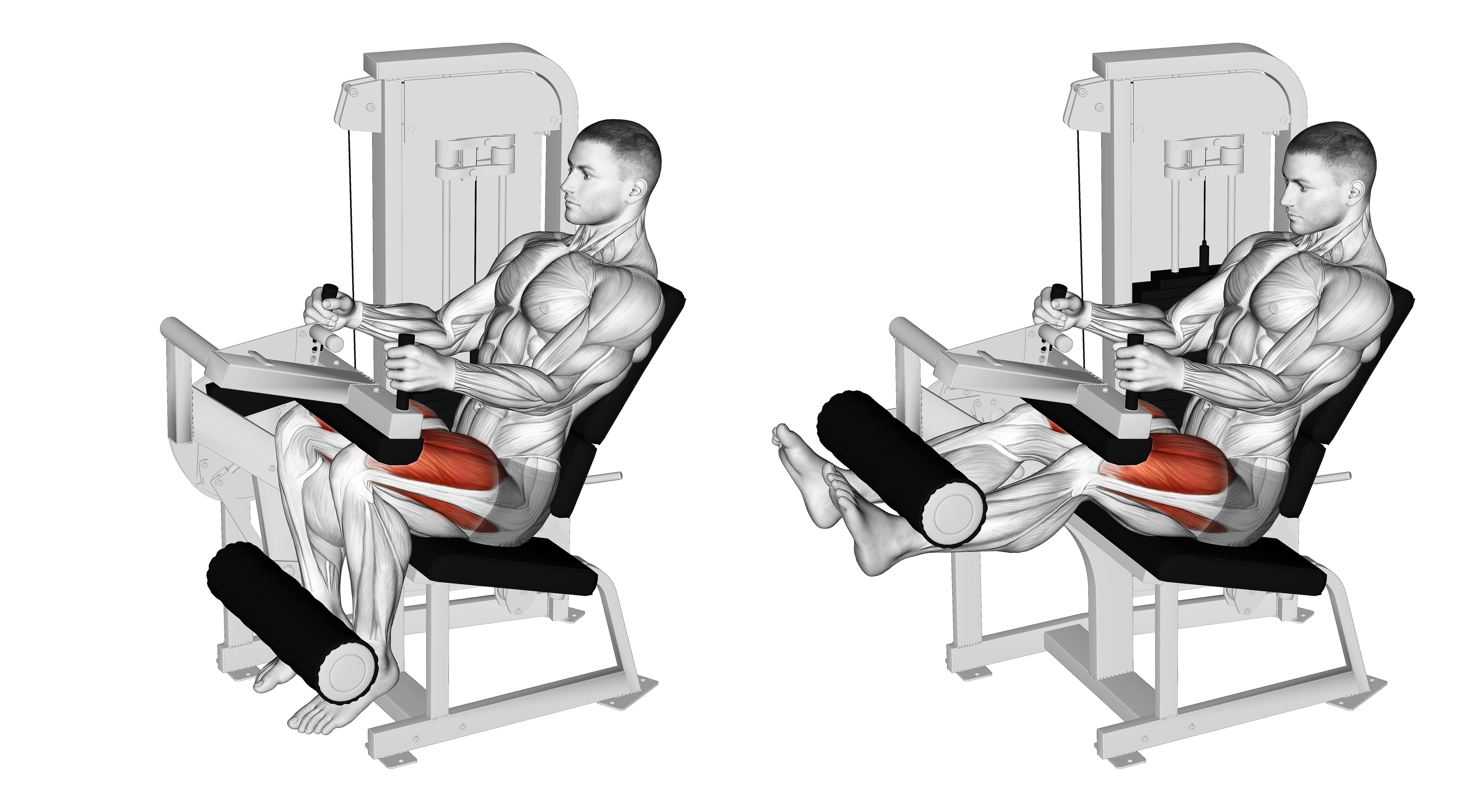 Lever Seated Leg Extension (version 2)