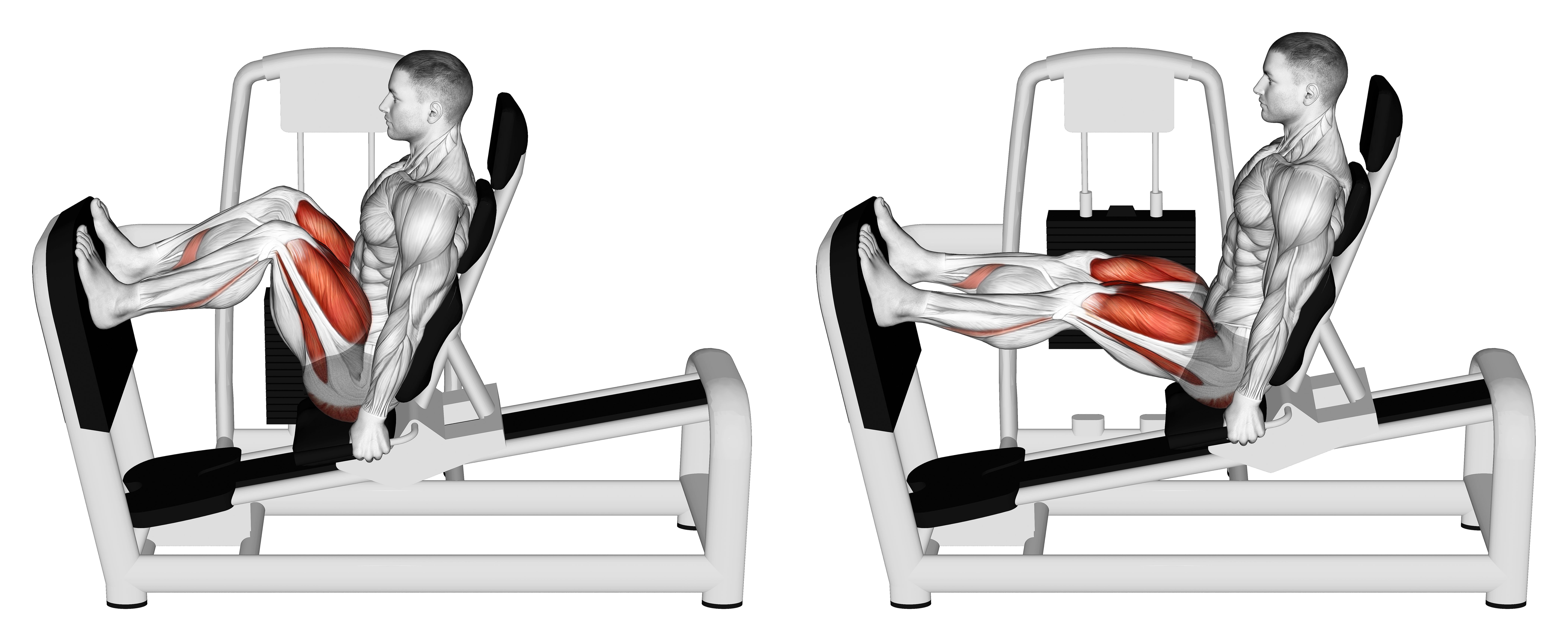 Lever Seated Leg Press (version 2)