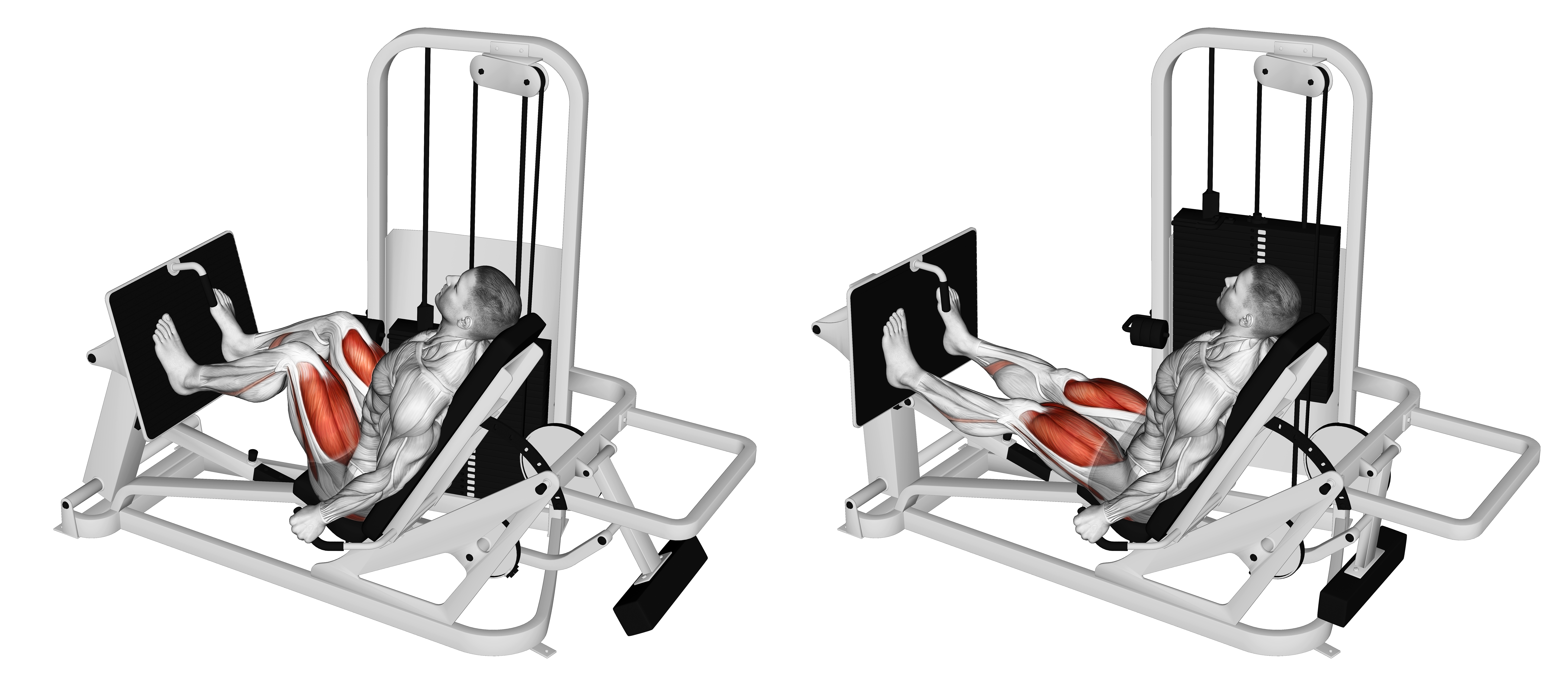 Lever Seated Leg Press