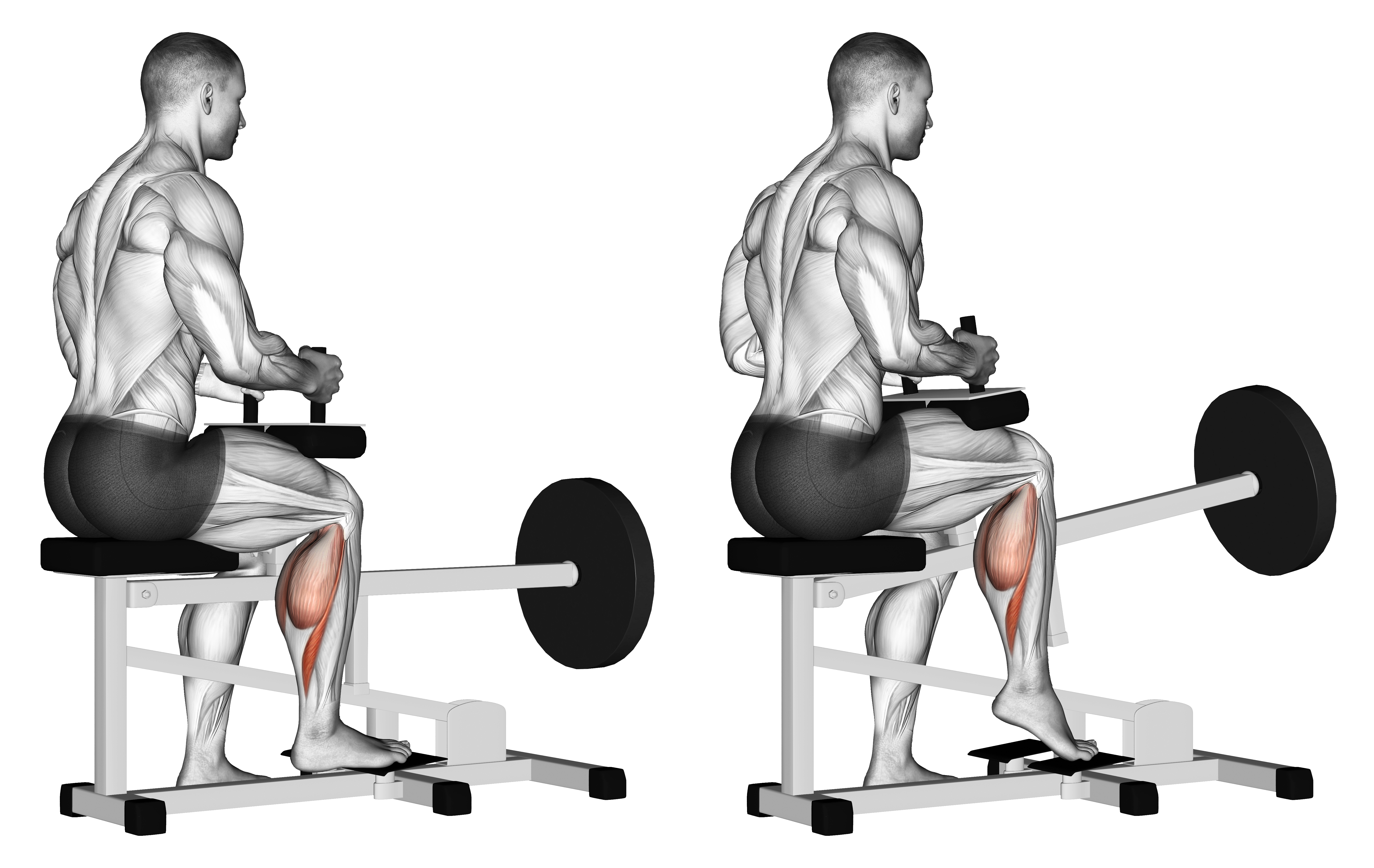Lever Seated One Leg Calf Raise
