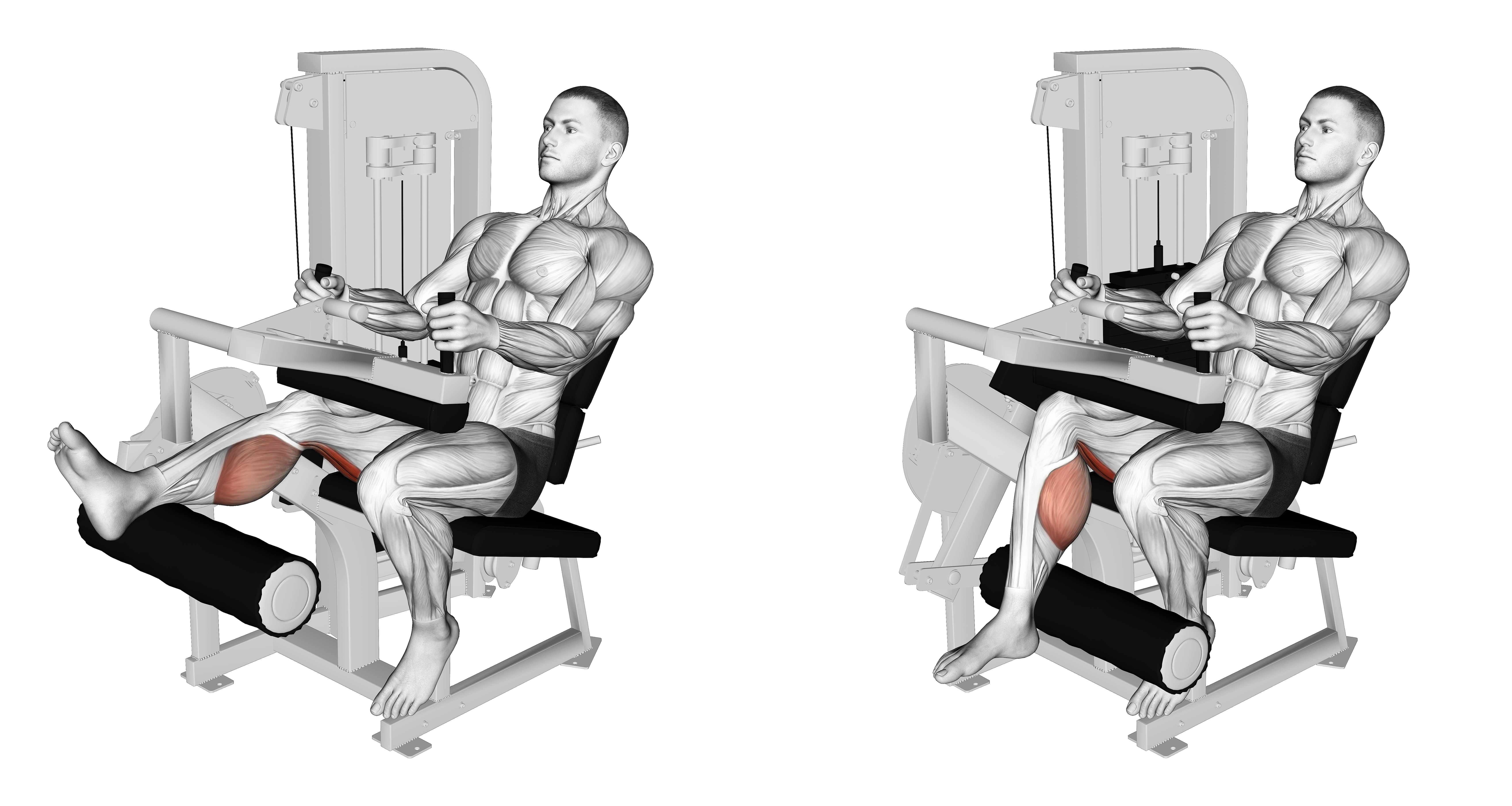 Lever Seated One Leg Curl