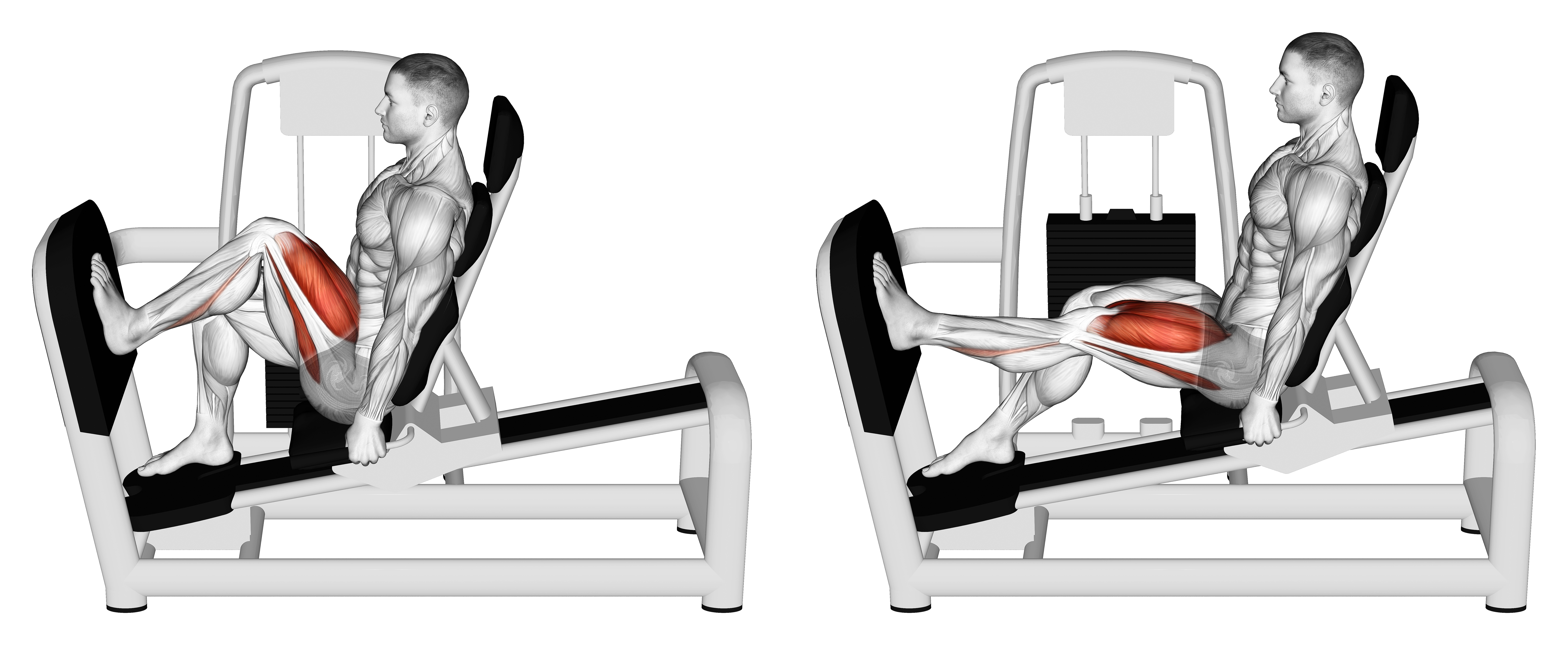 Lever Seated One Leg Squat