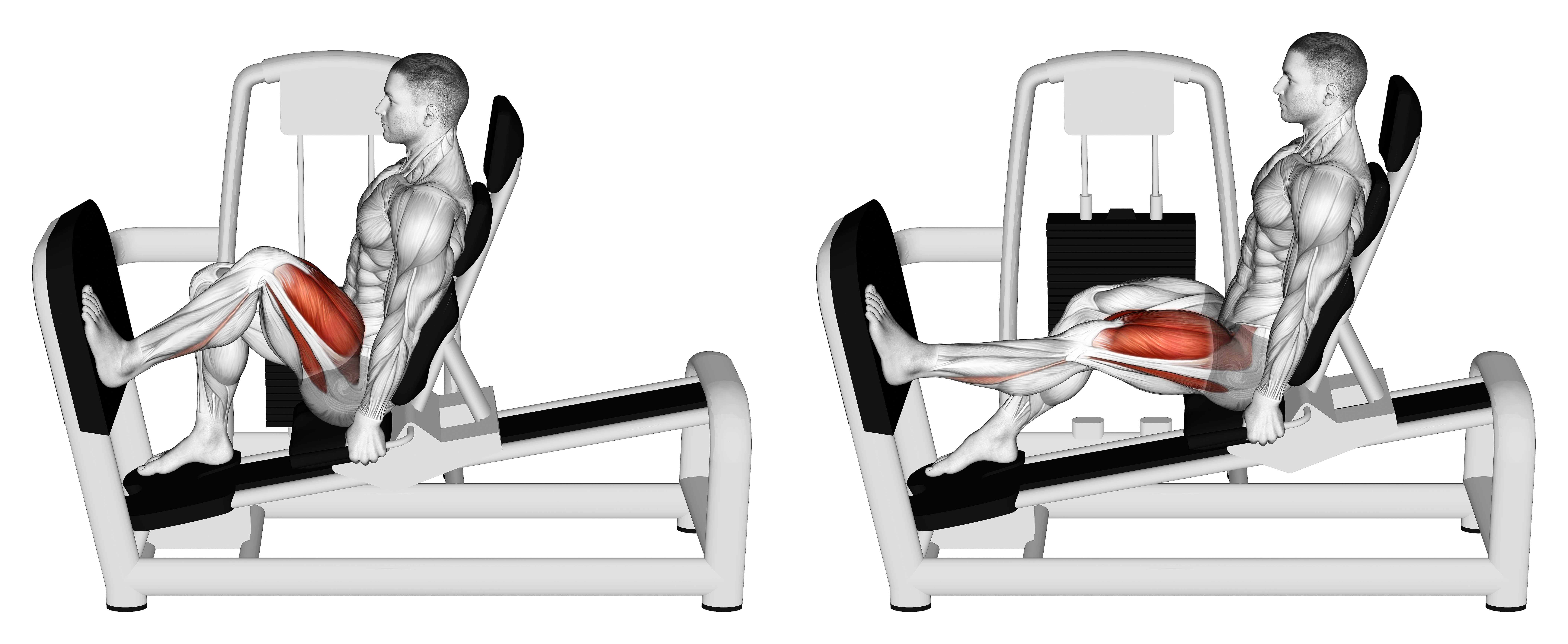 Lever Seated One Leg Wide Squat