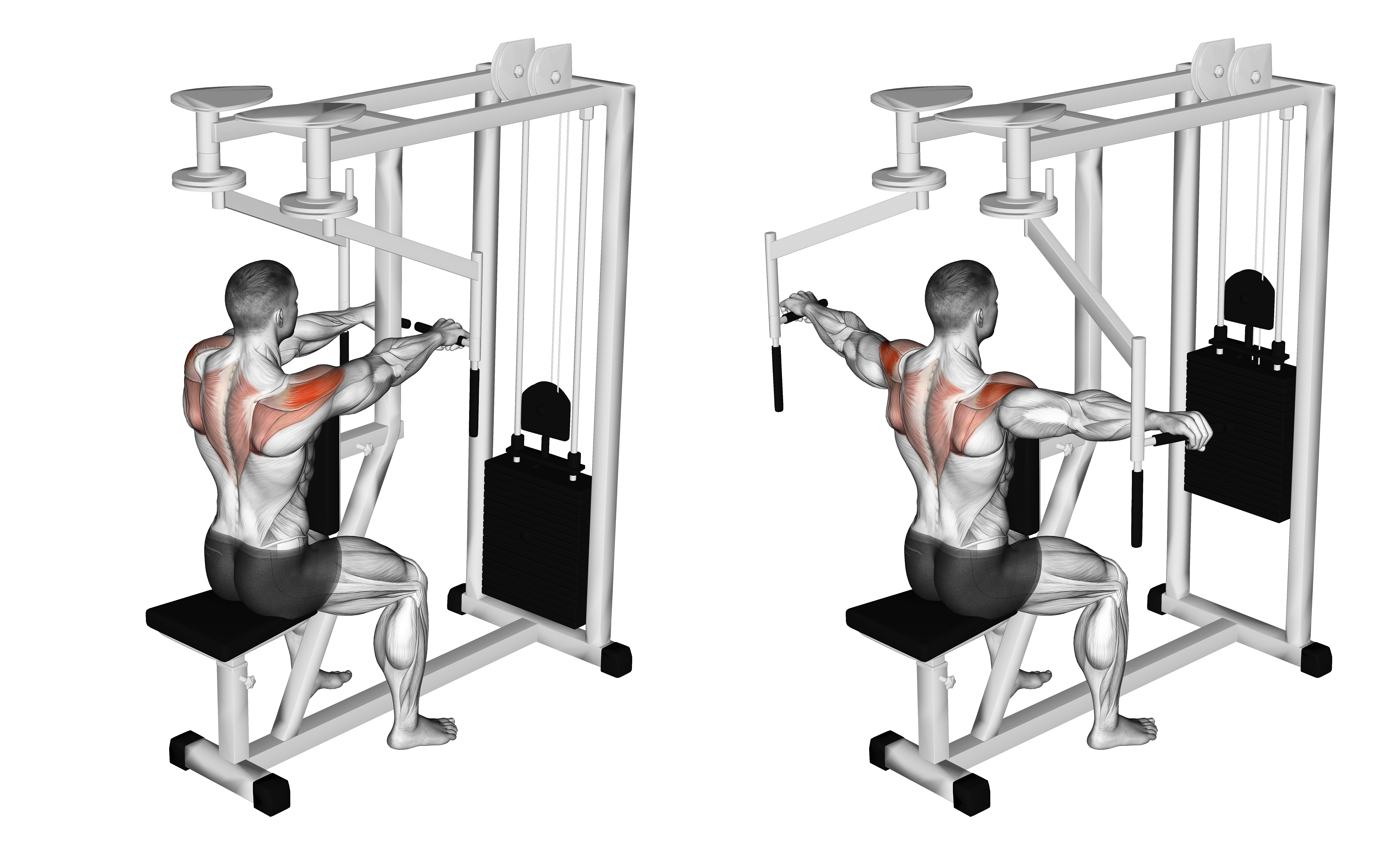Lever Seated Reverse Fly