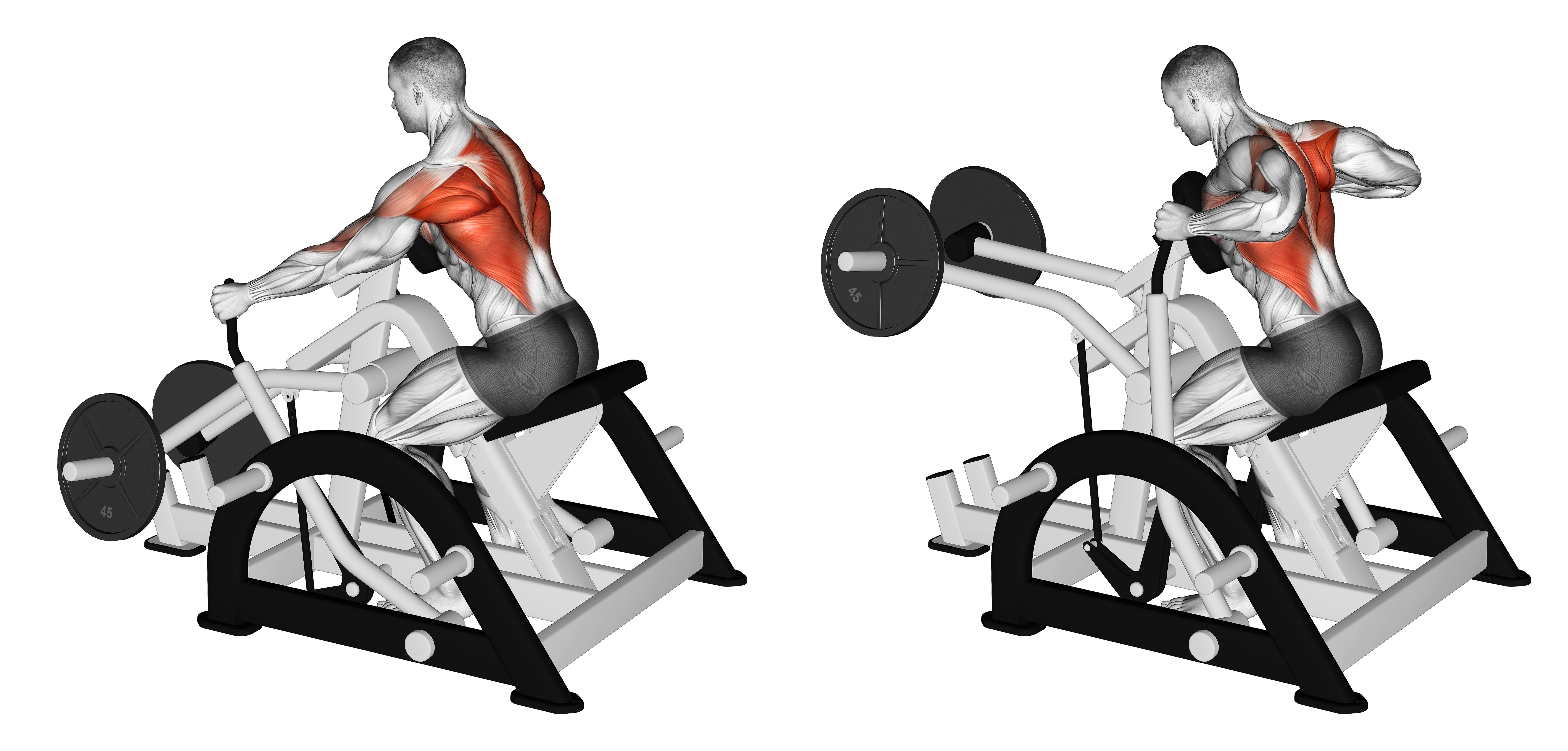 Lever Seated Row (plate Loaded)