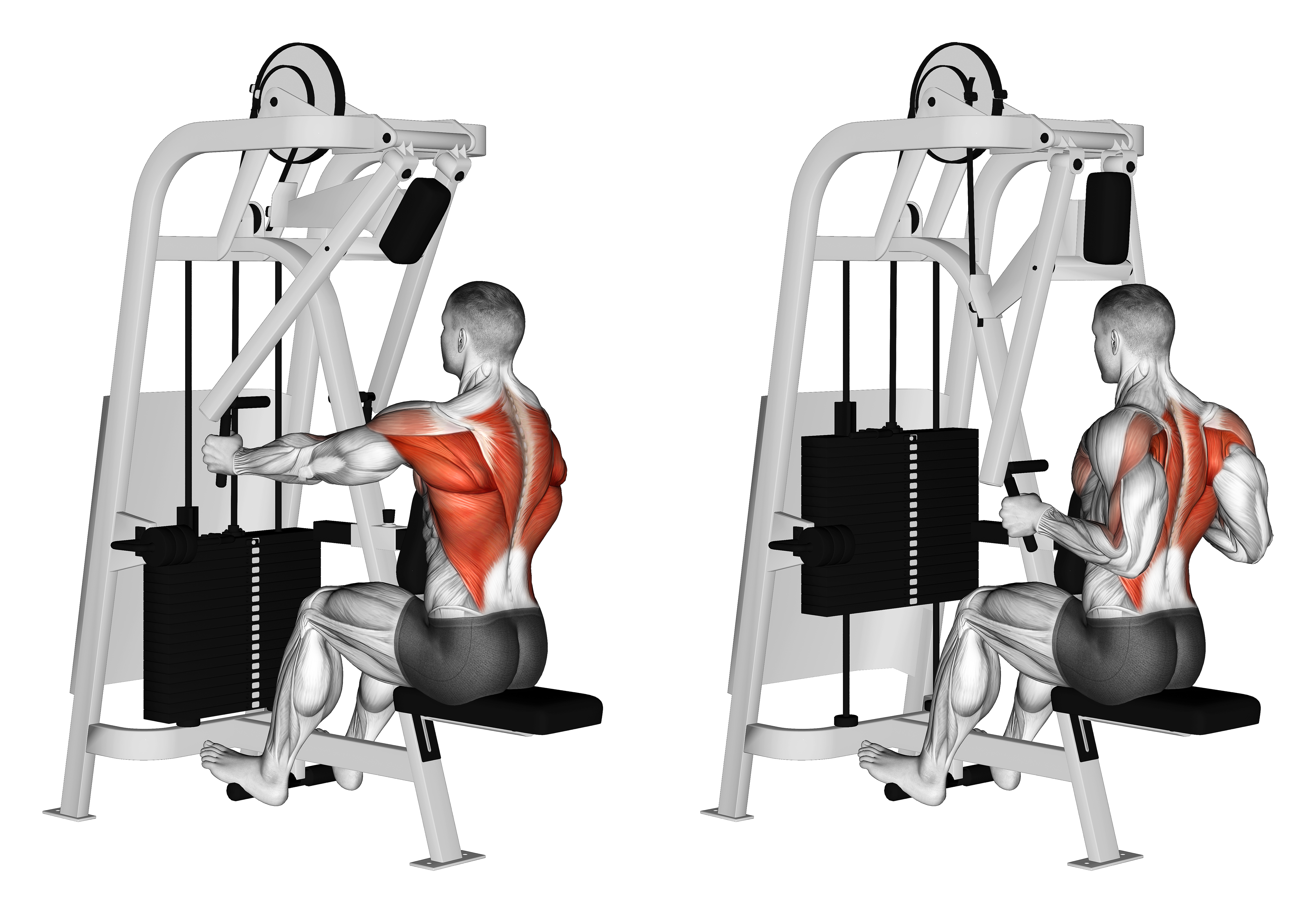 Lever Seated Row (version 2)