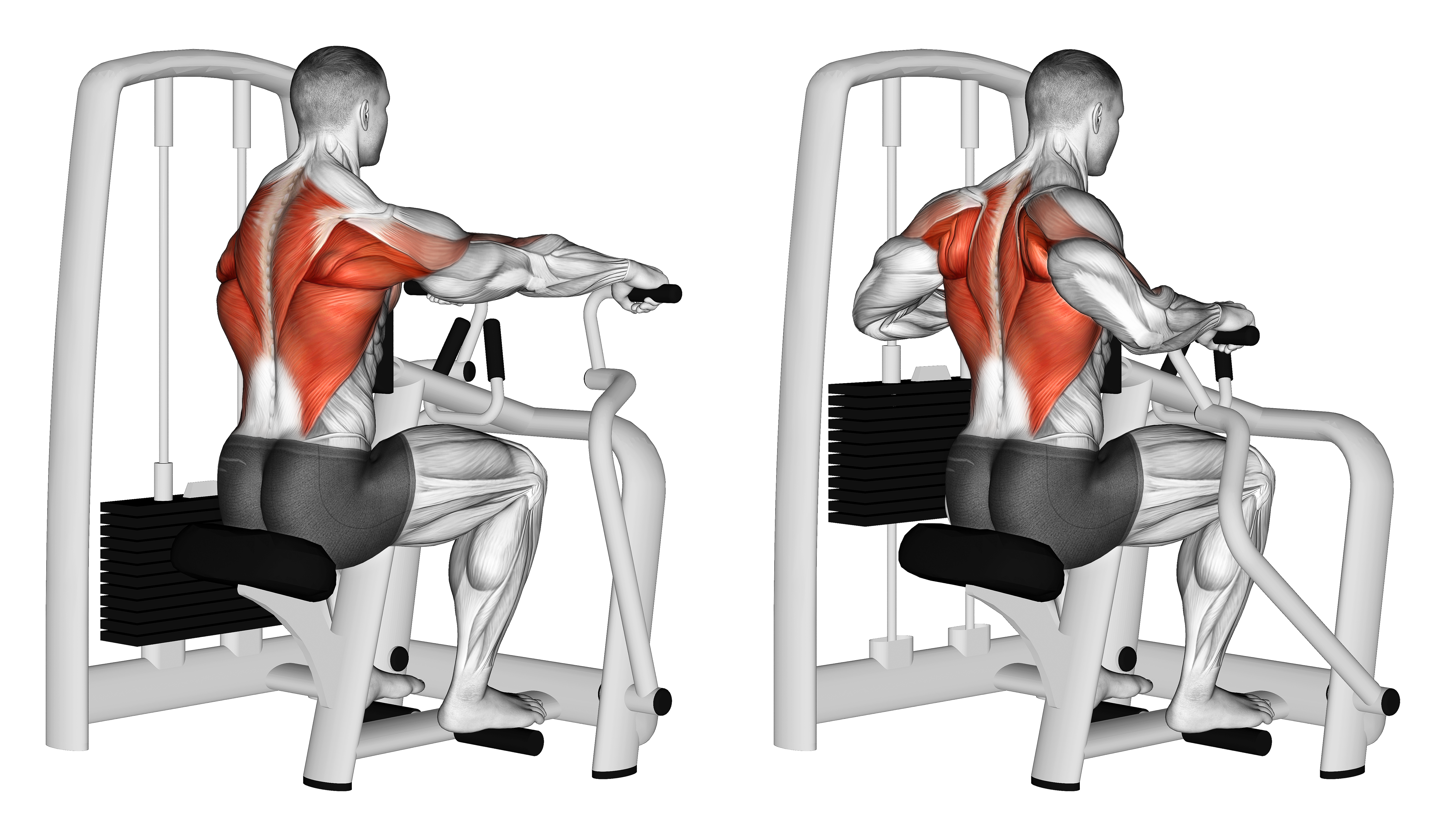 Lever Seated Row