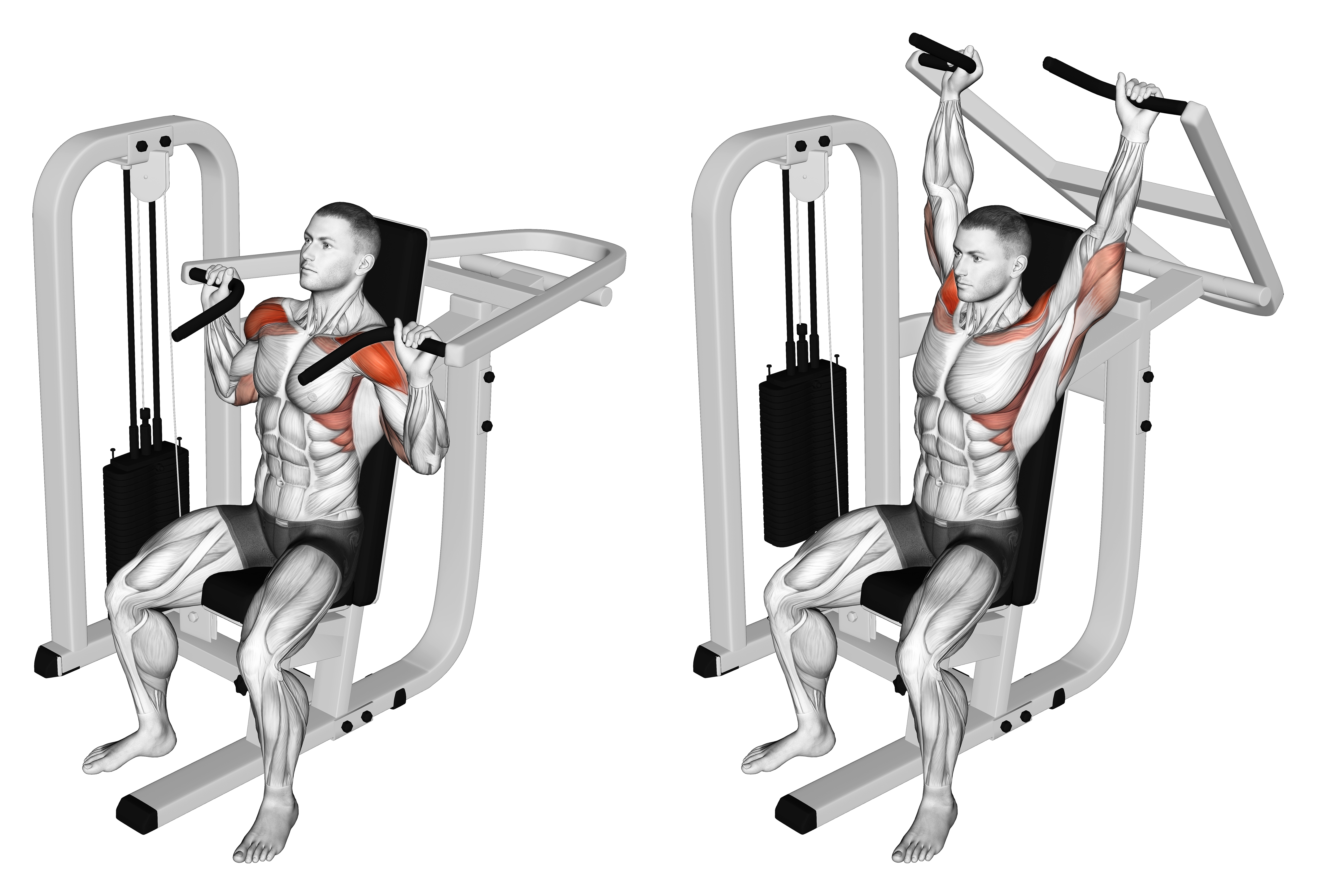 Lever Seated Shoulder Press