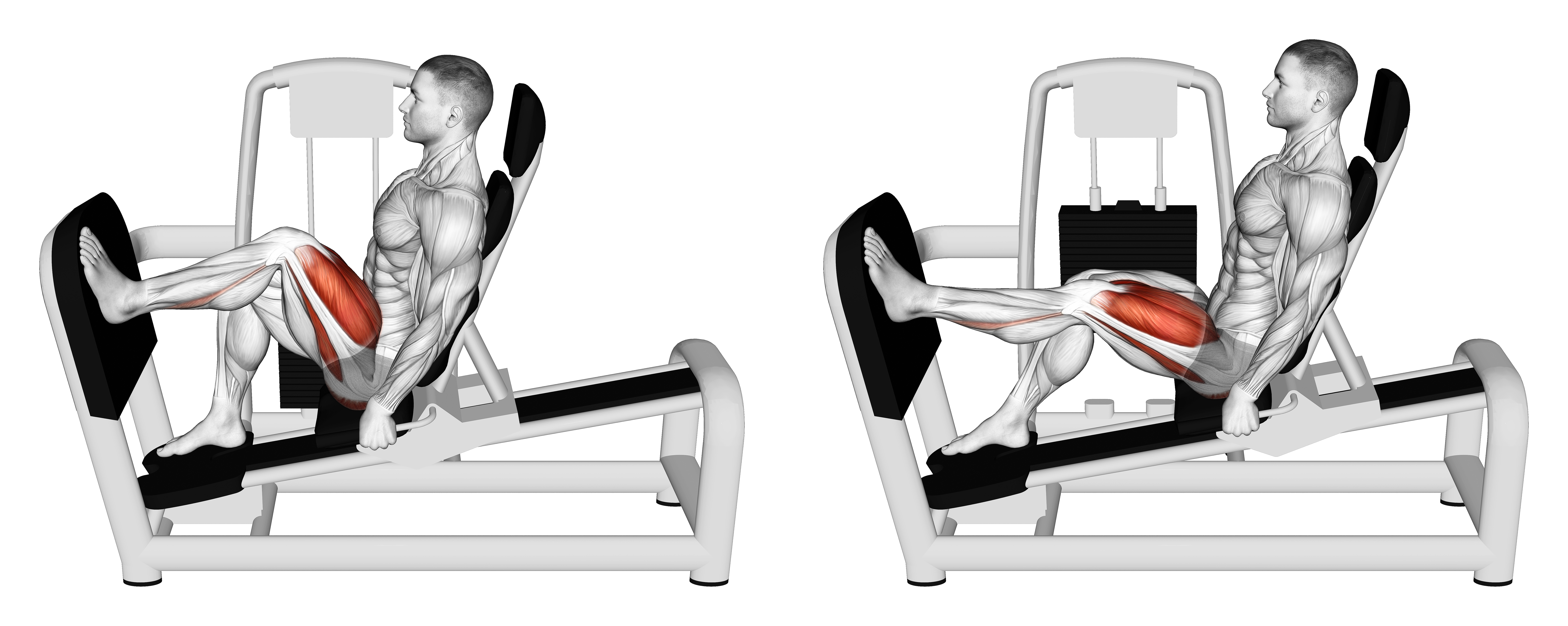 Lever Seated Single Leg Press (version 2)