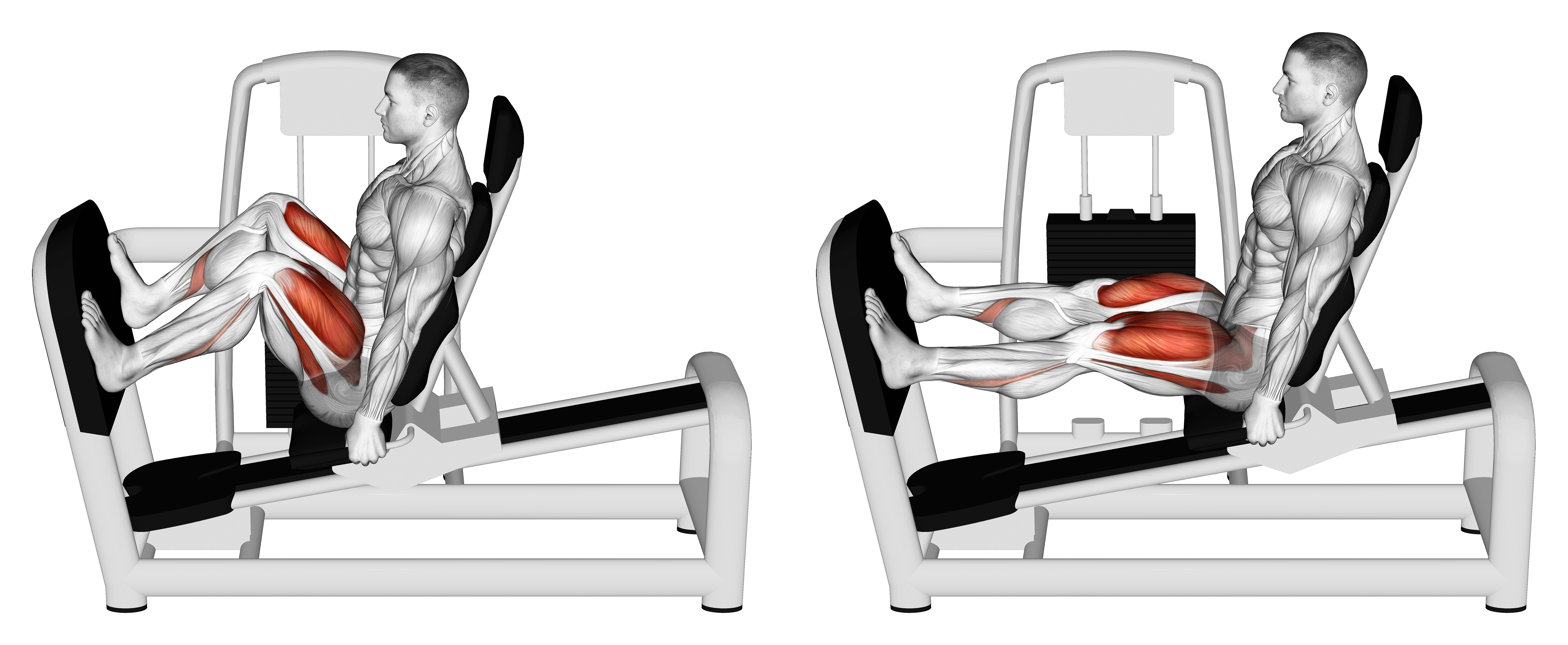 Lever Seated Wide Squat