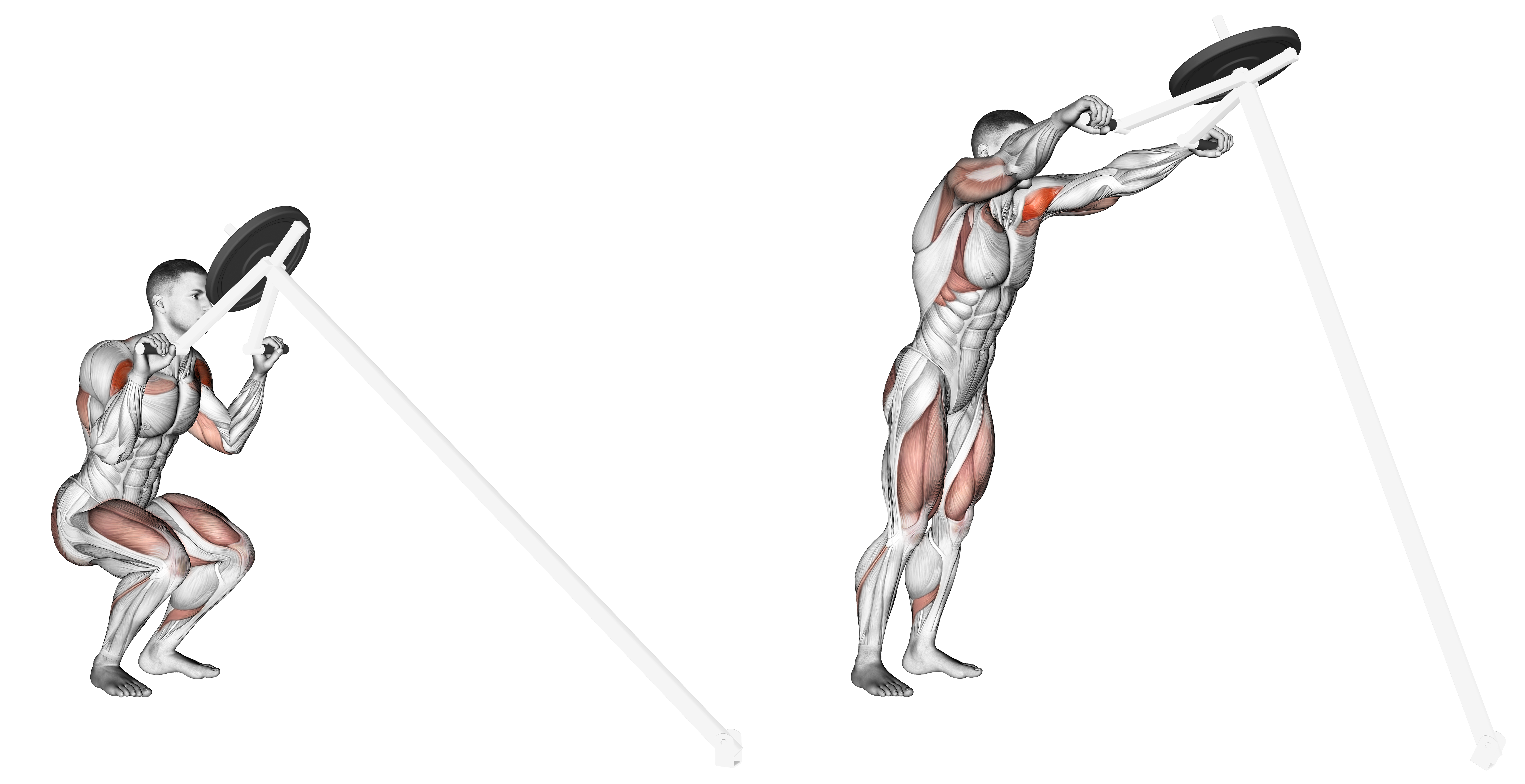 Lever Shoulder Press (plate Loaded)