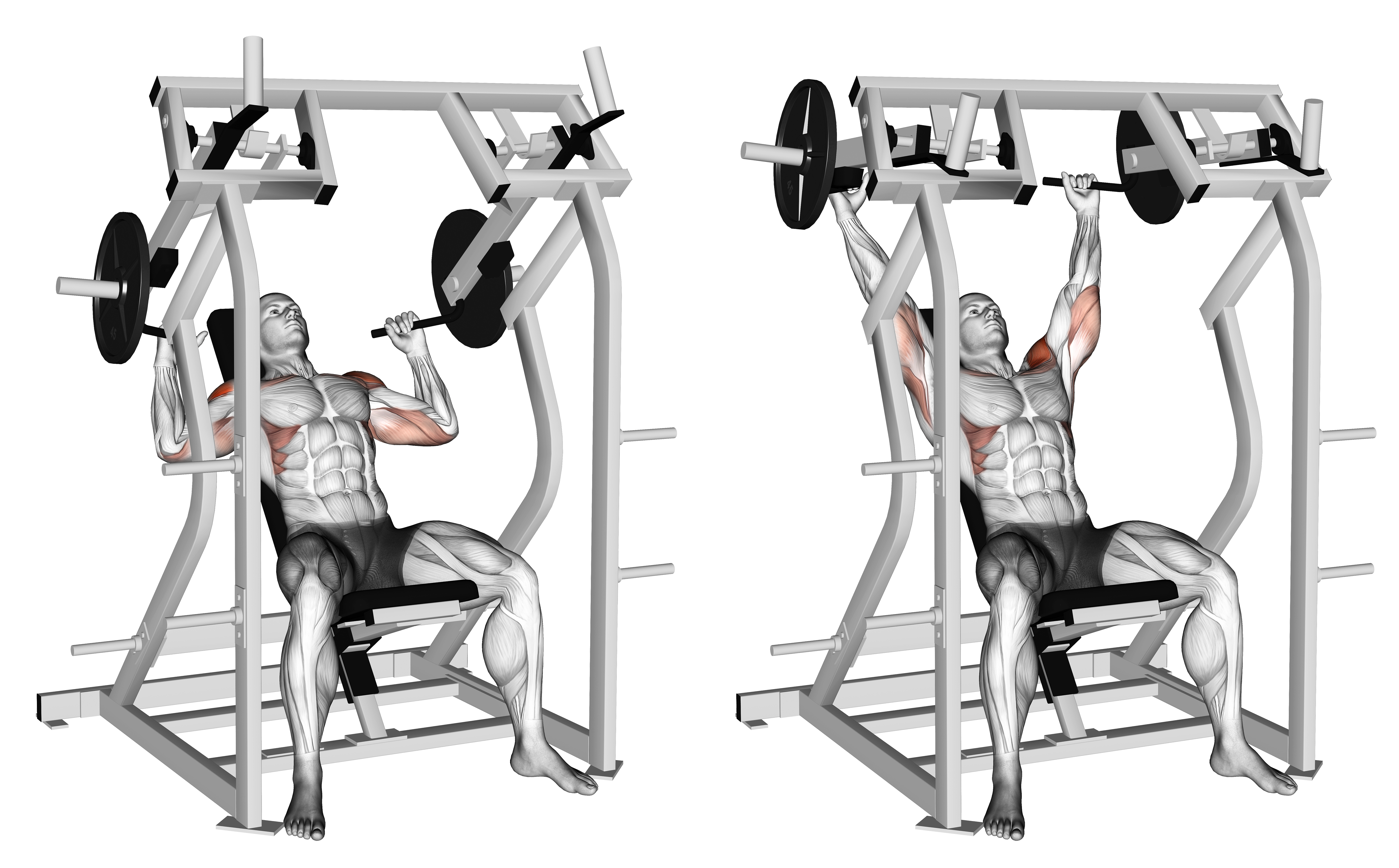 Lever Shoulder Press (plate Loaded) Ii