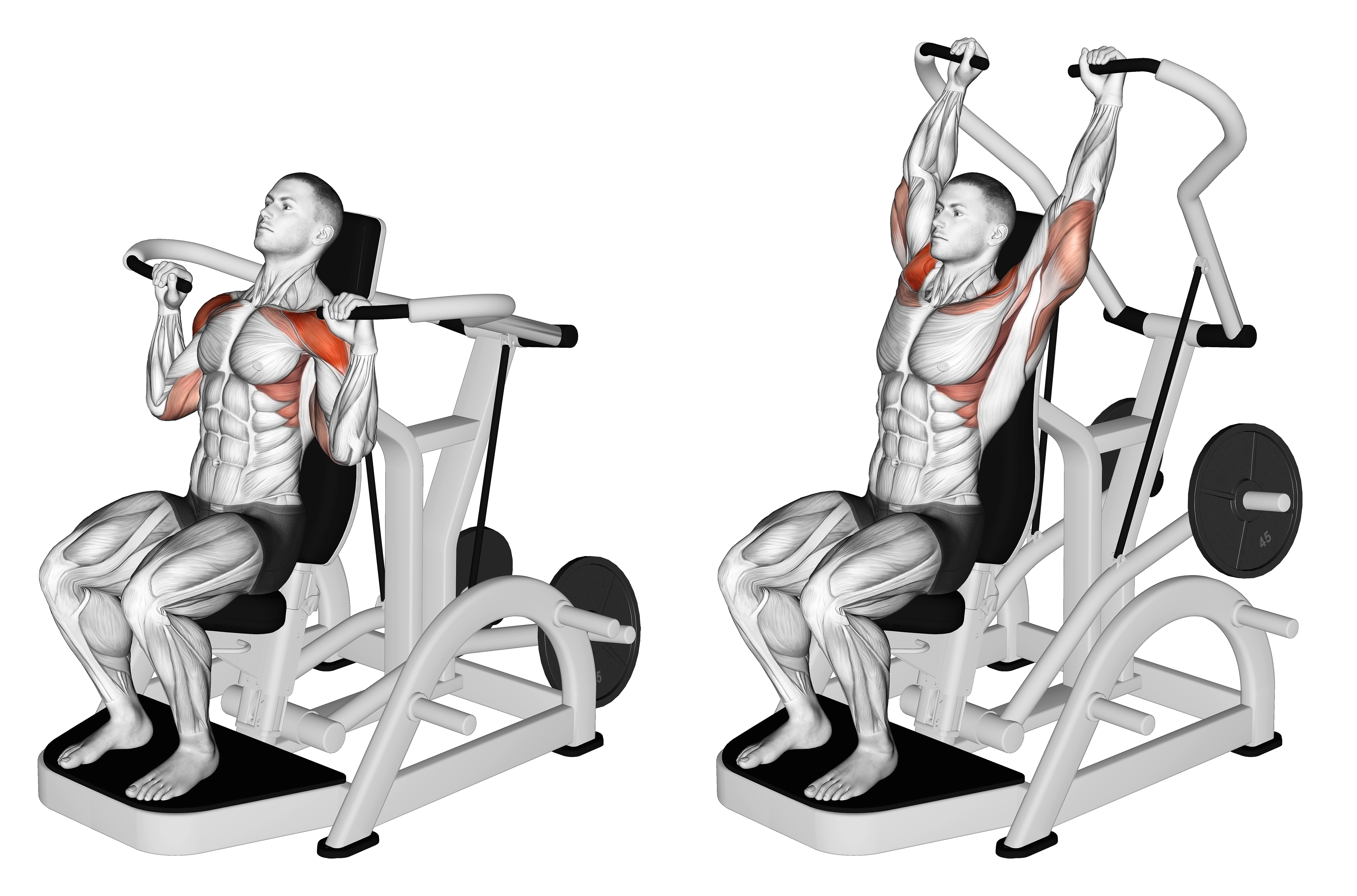 Lever Shoulder Press (plate Loaded) Version 3