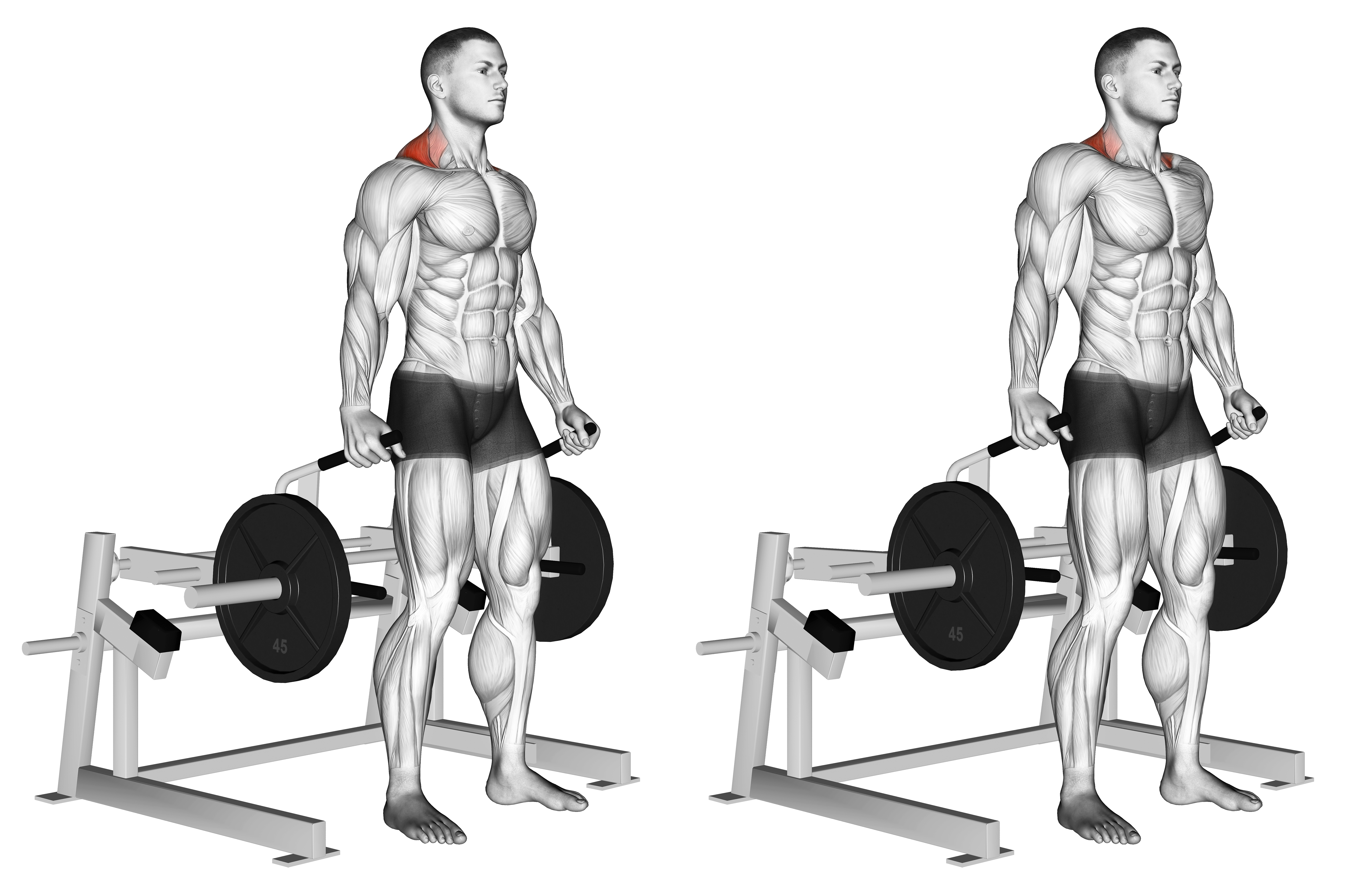 Lever Shrug (plate Loaded)