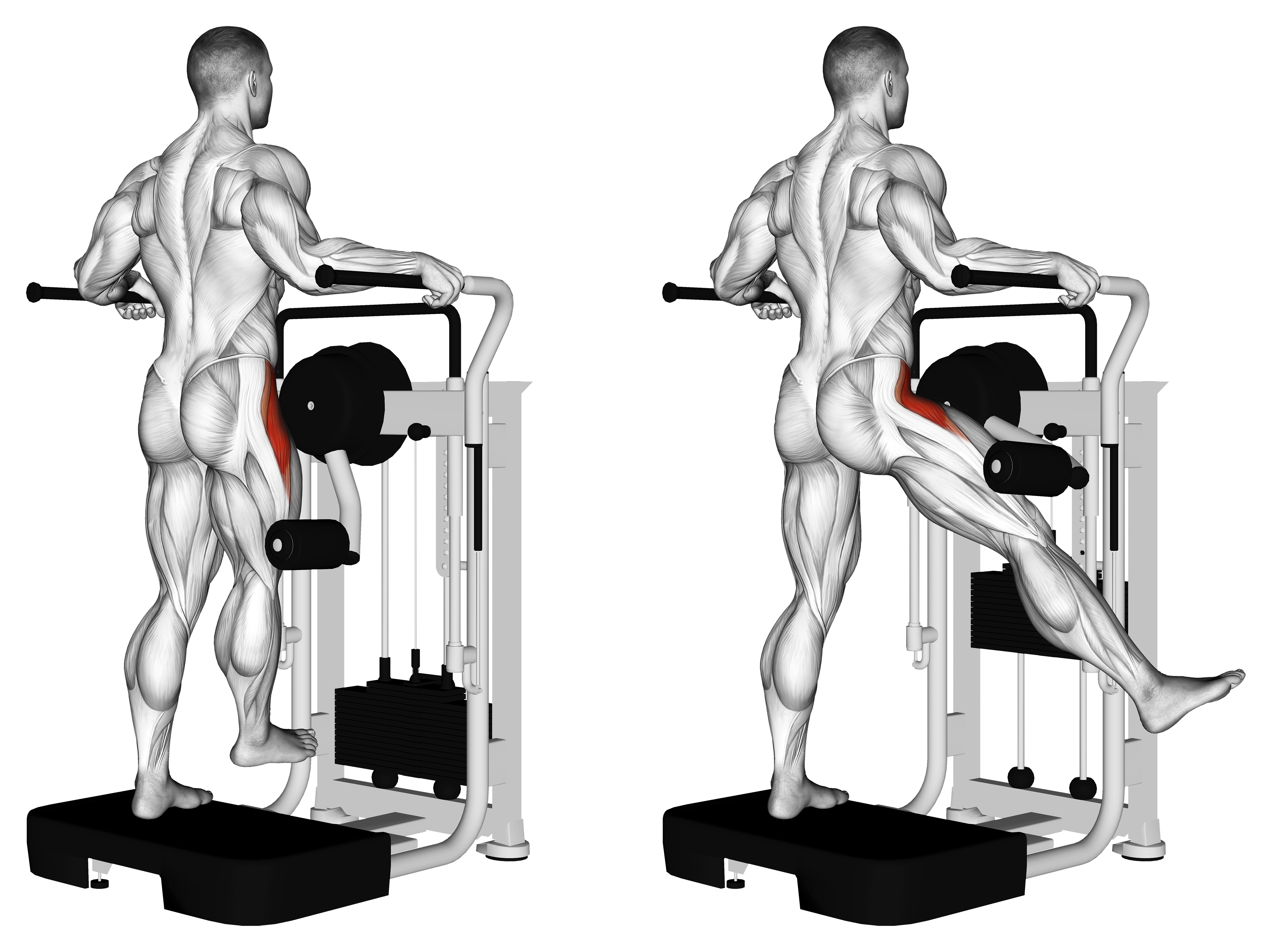 Lever Side Hip Abduction