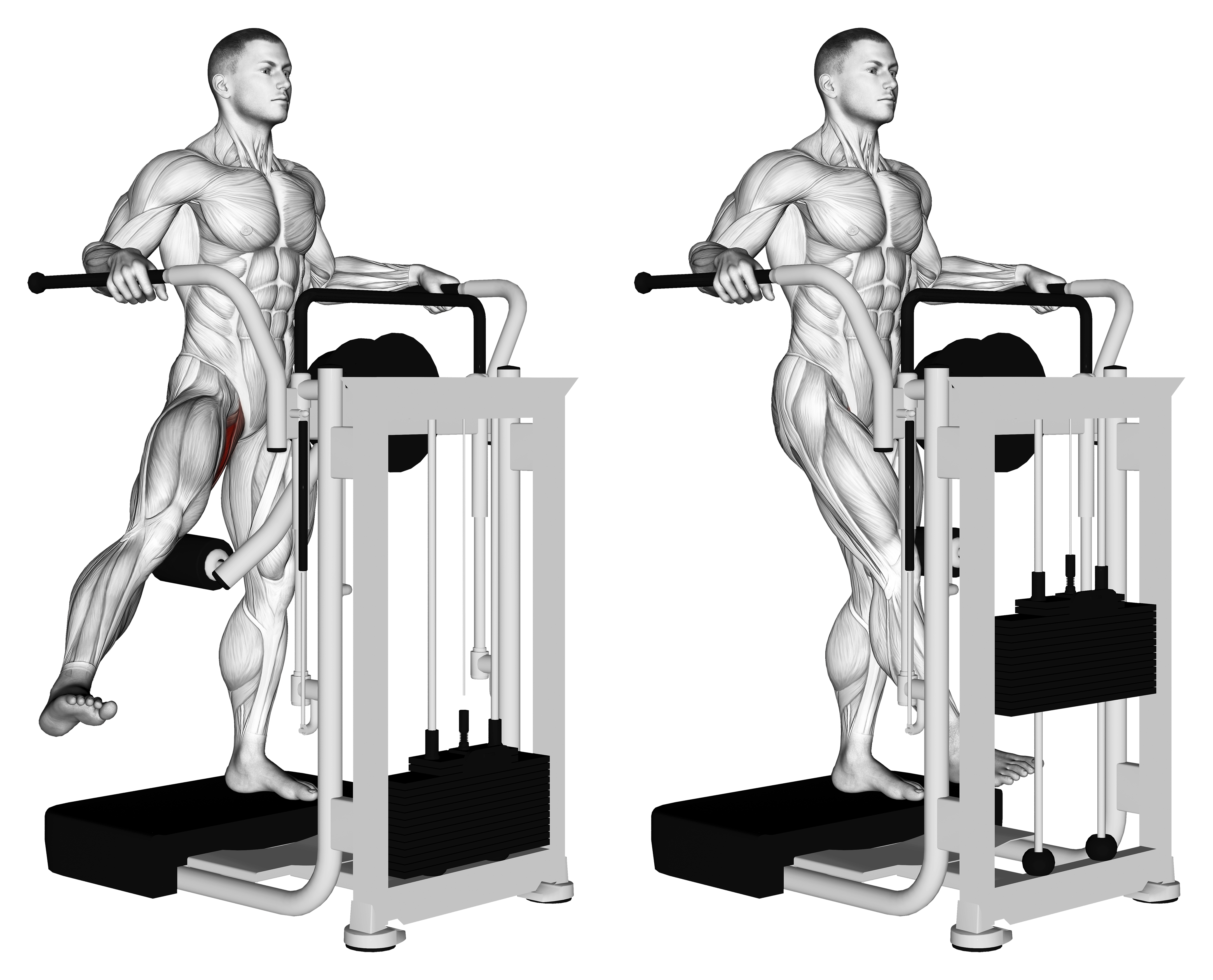 Lever Side Hip Adduction