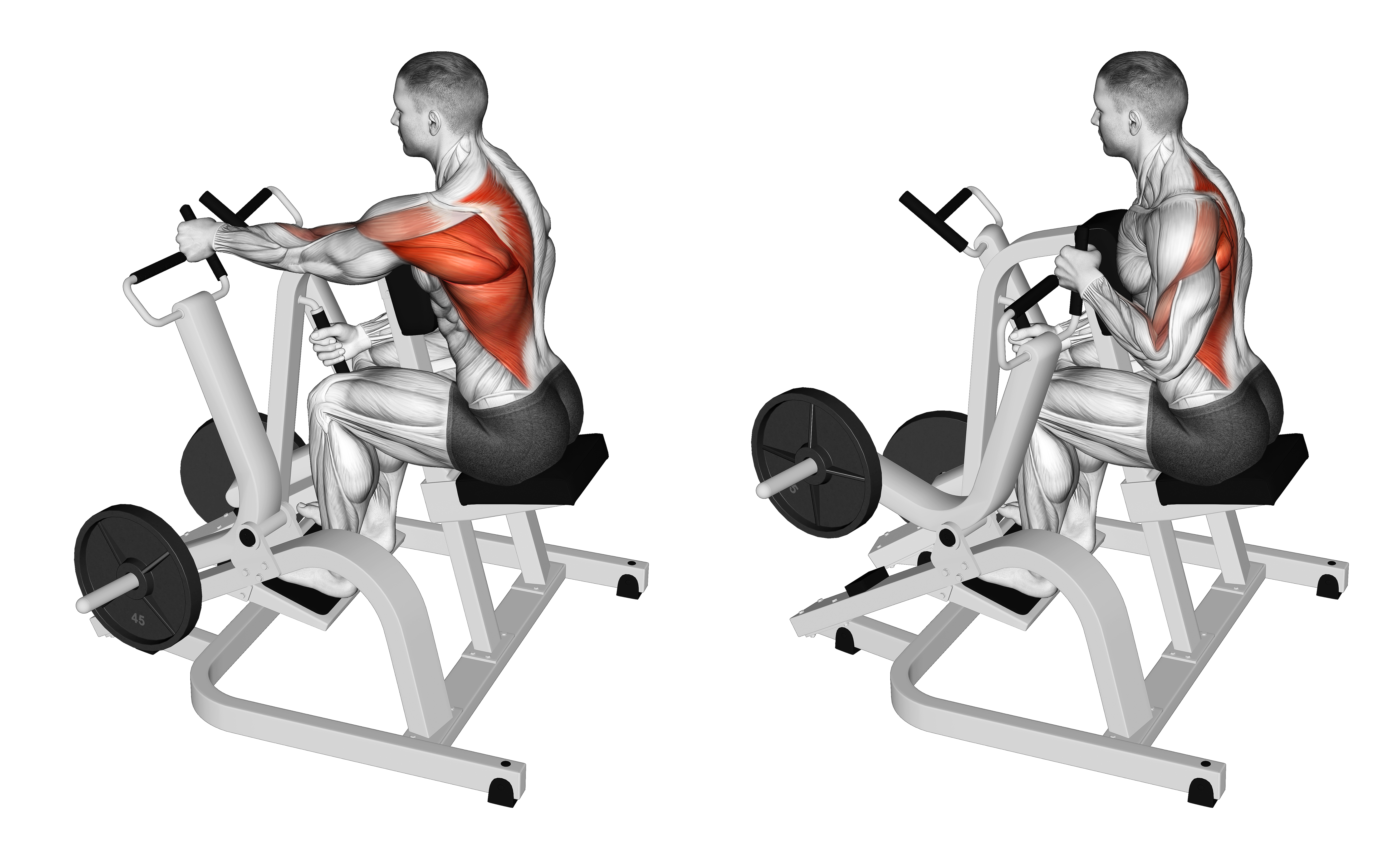 Lever Single Arm Neutral Grip Seated Row (plate Loaded)