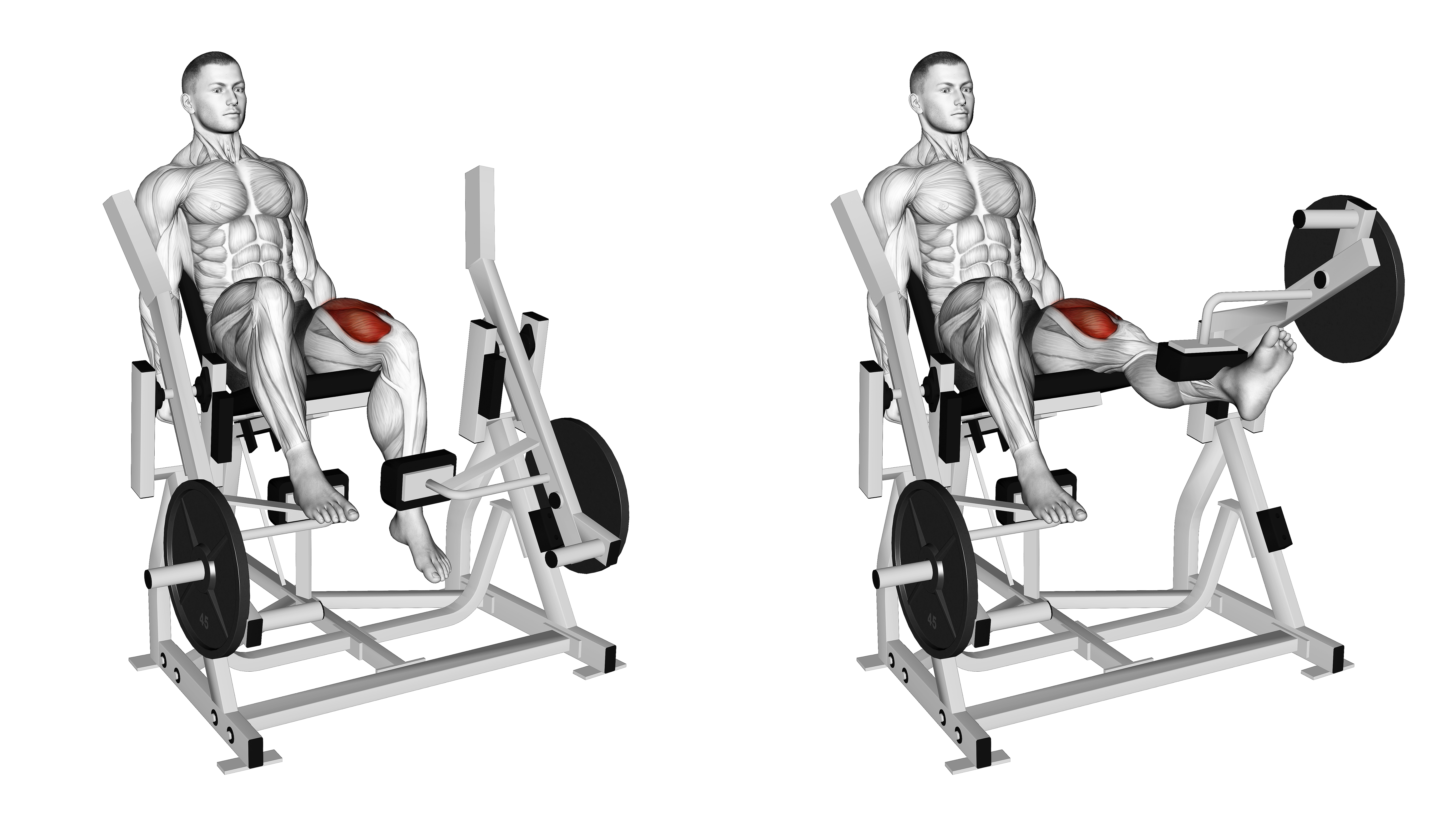 Lever Single Leg Extension (plate Loaded)