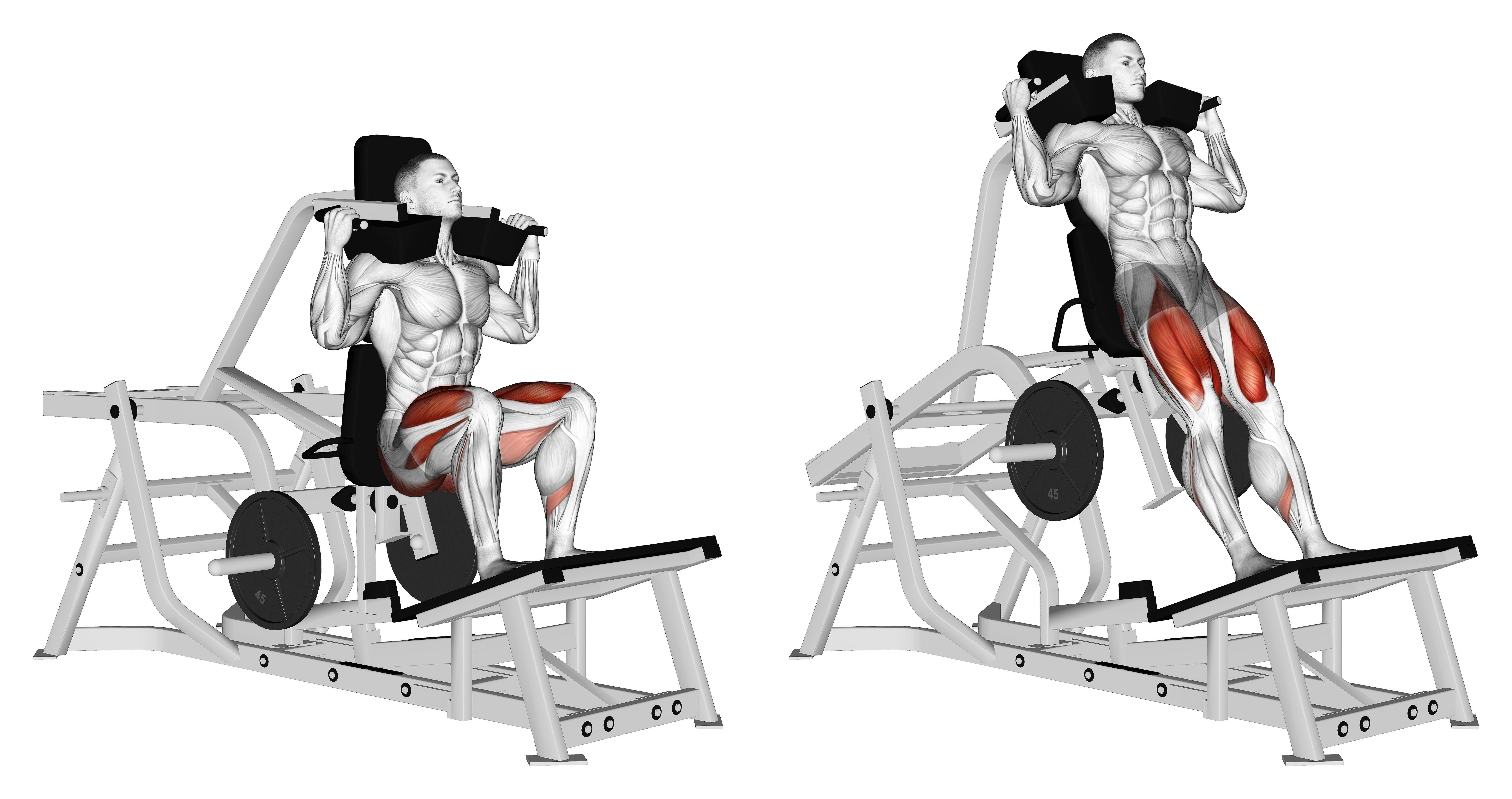 Lever Squat (plate Loaded)