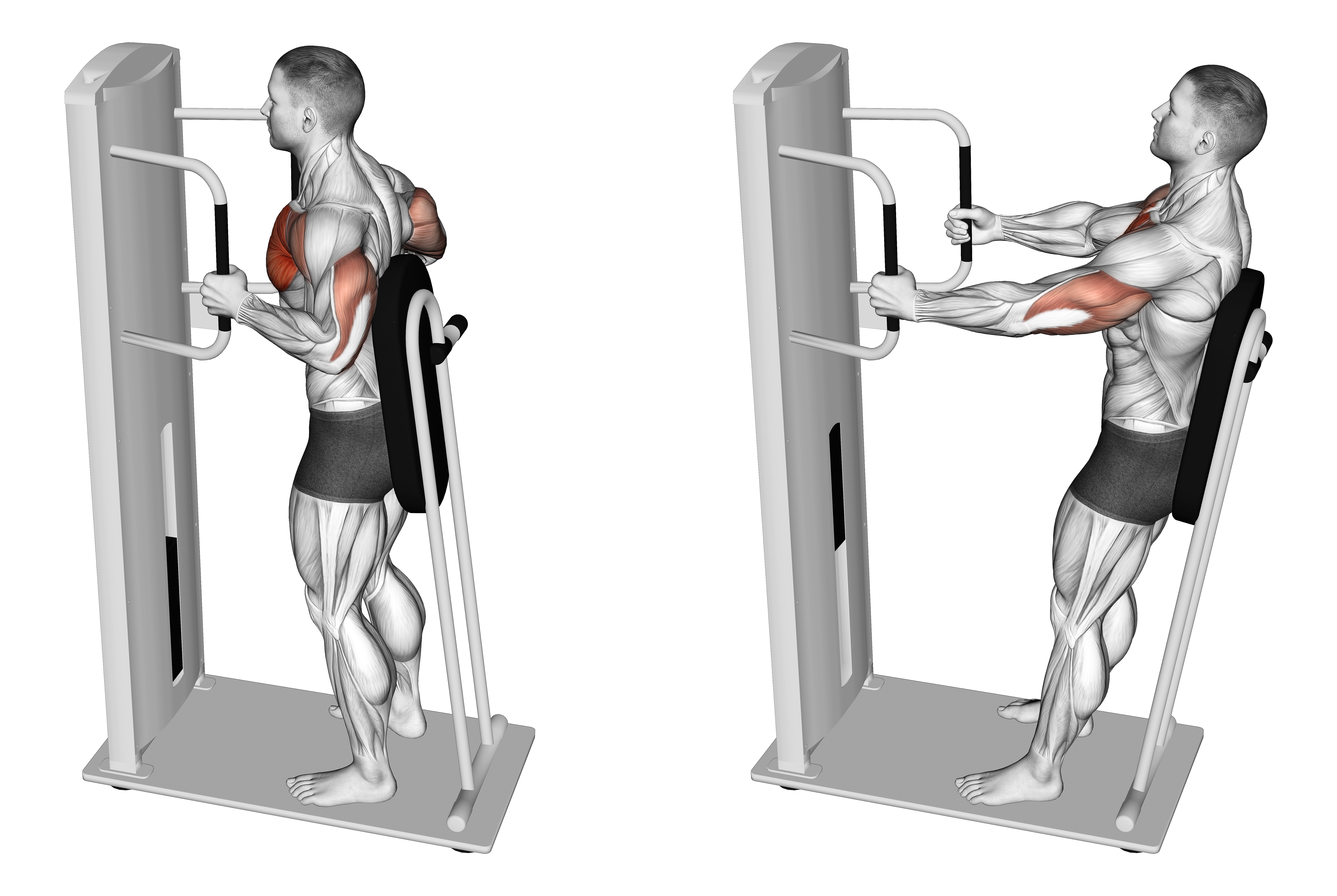 Lever Standing Chest Press
