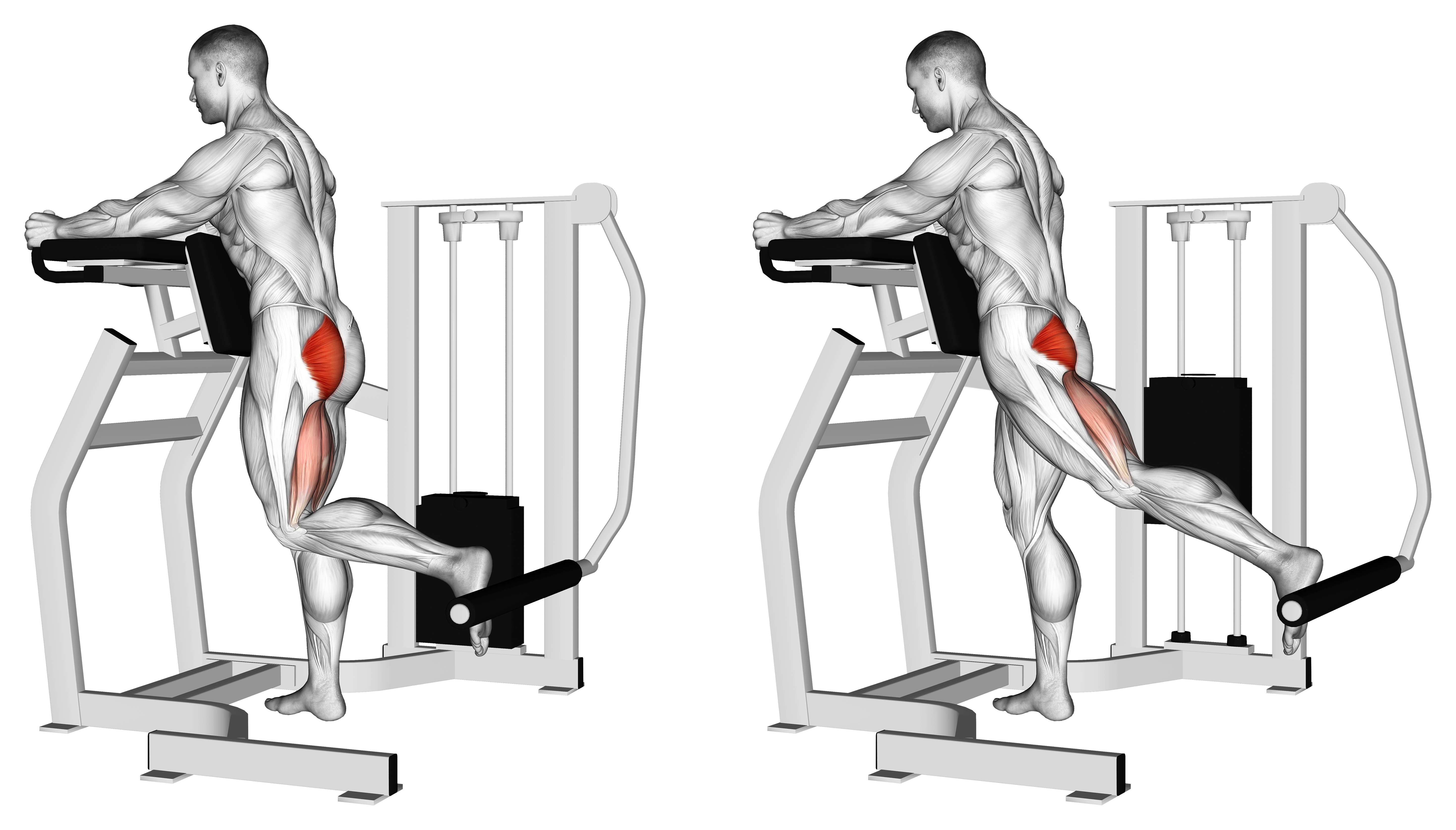 Lever Standing Hip Extension