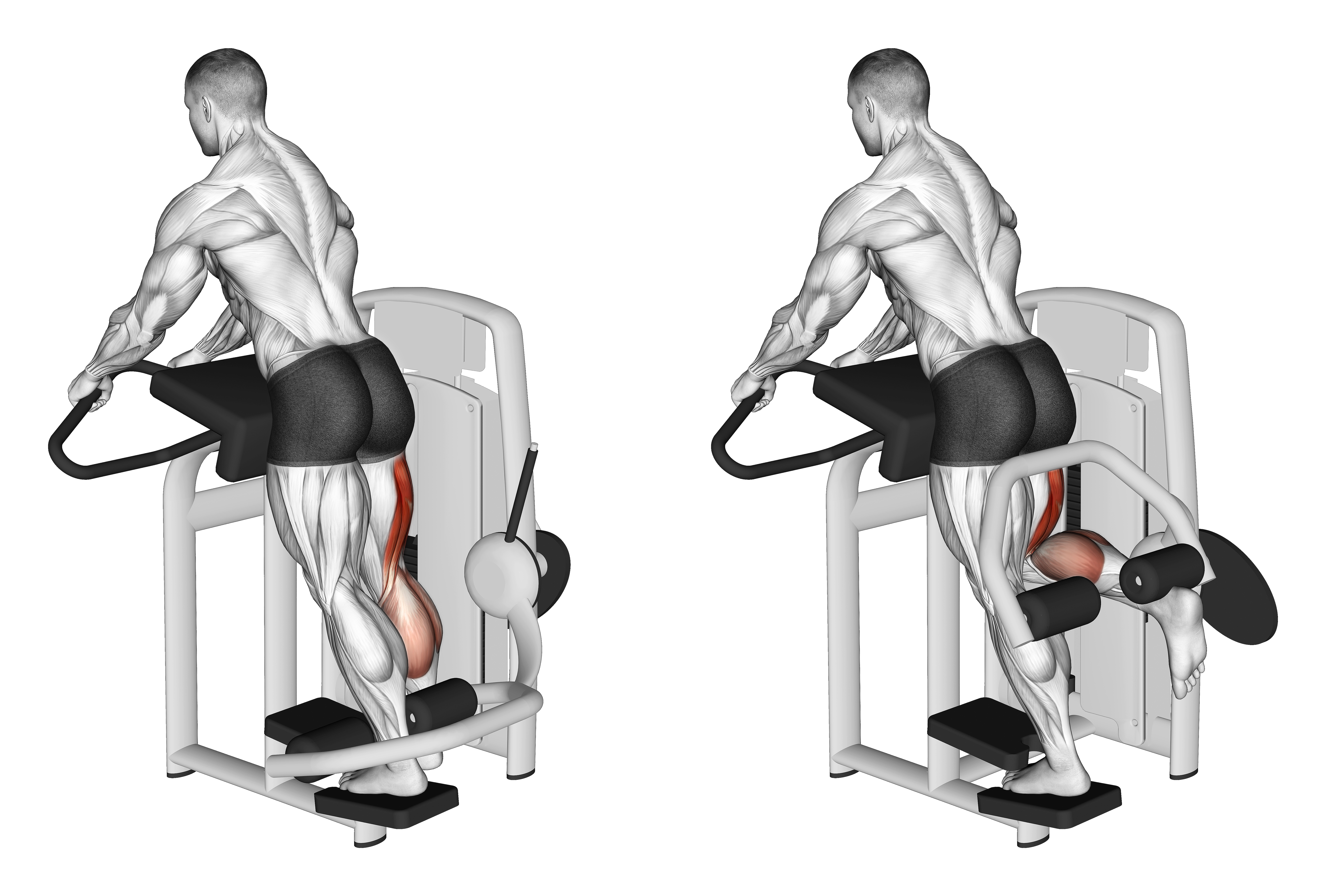 Lever Standing Leg Curl