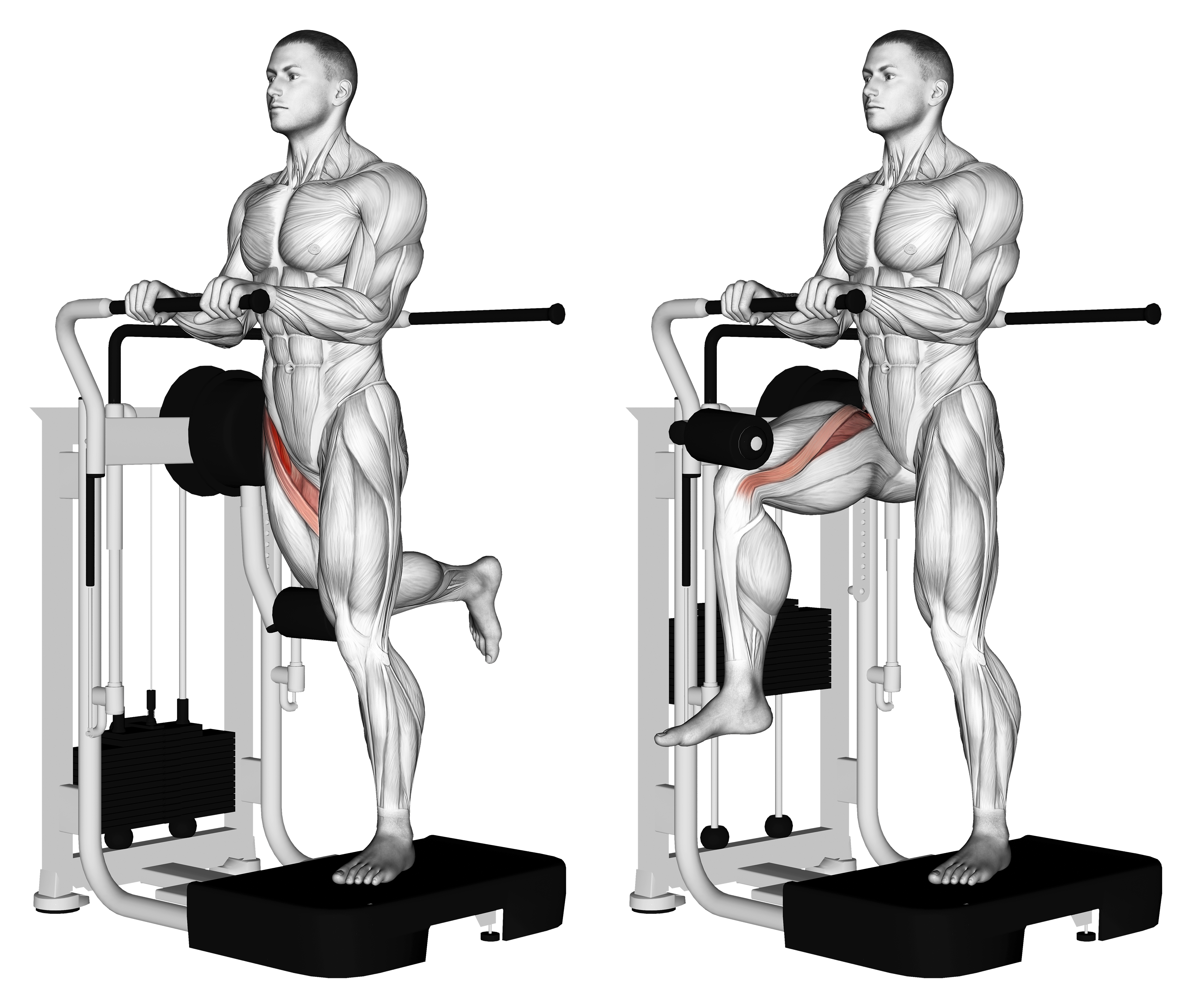 Lever Standing Leg Raise