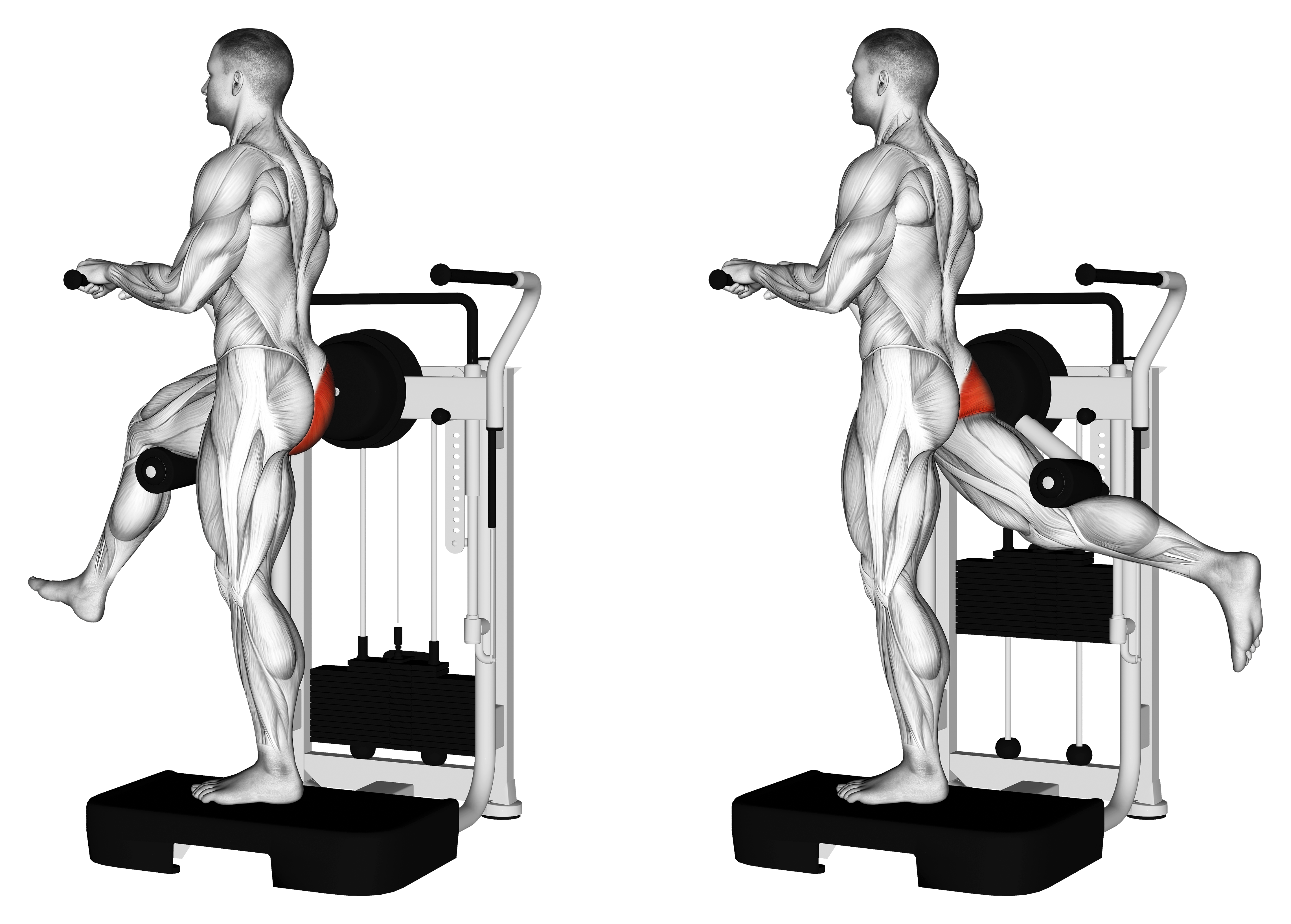 Lever Standing Rear Kick