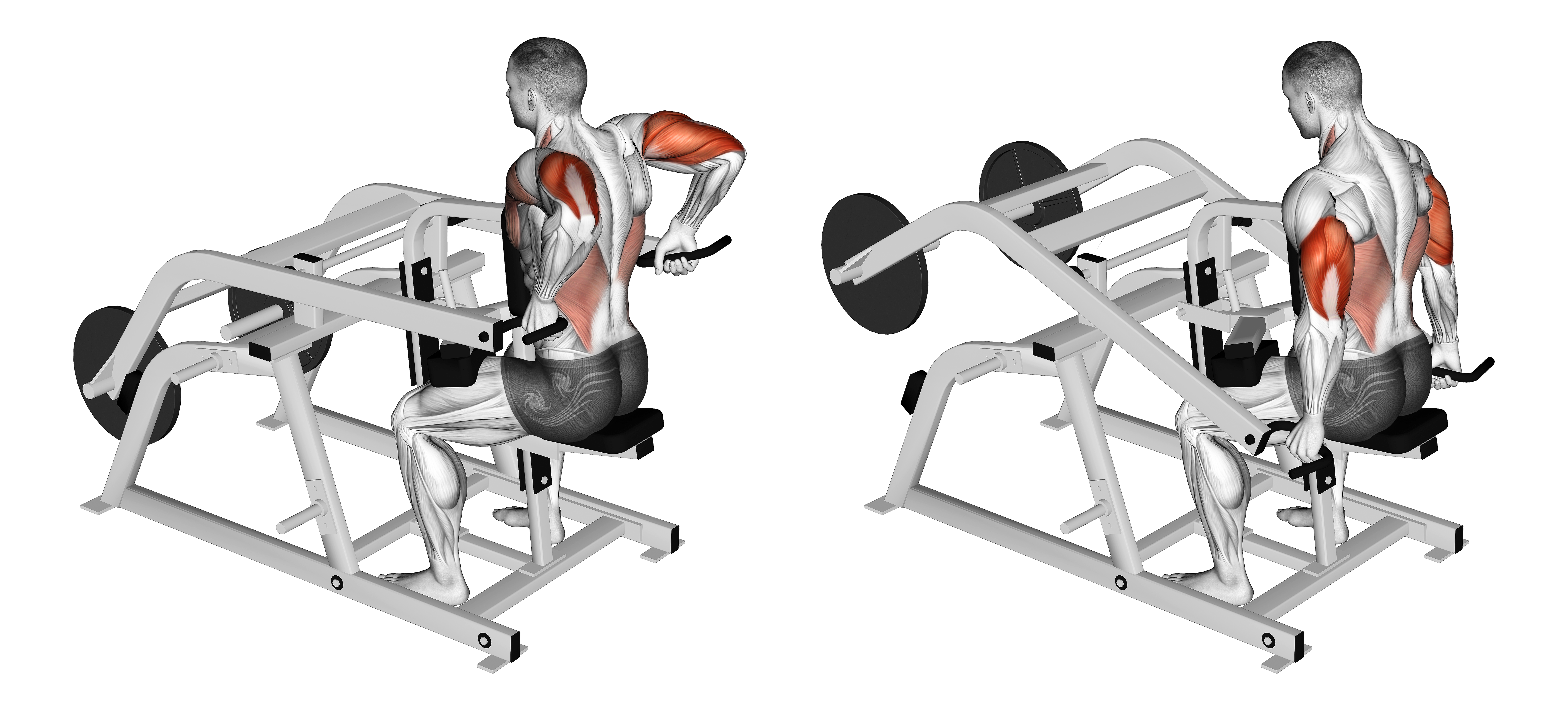Lever Triceps Dip (plate Loaded)