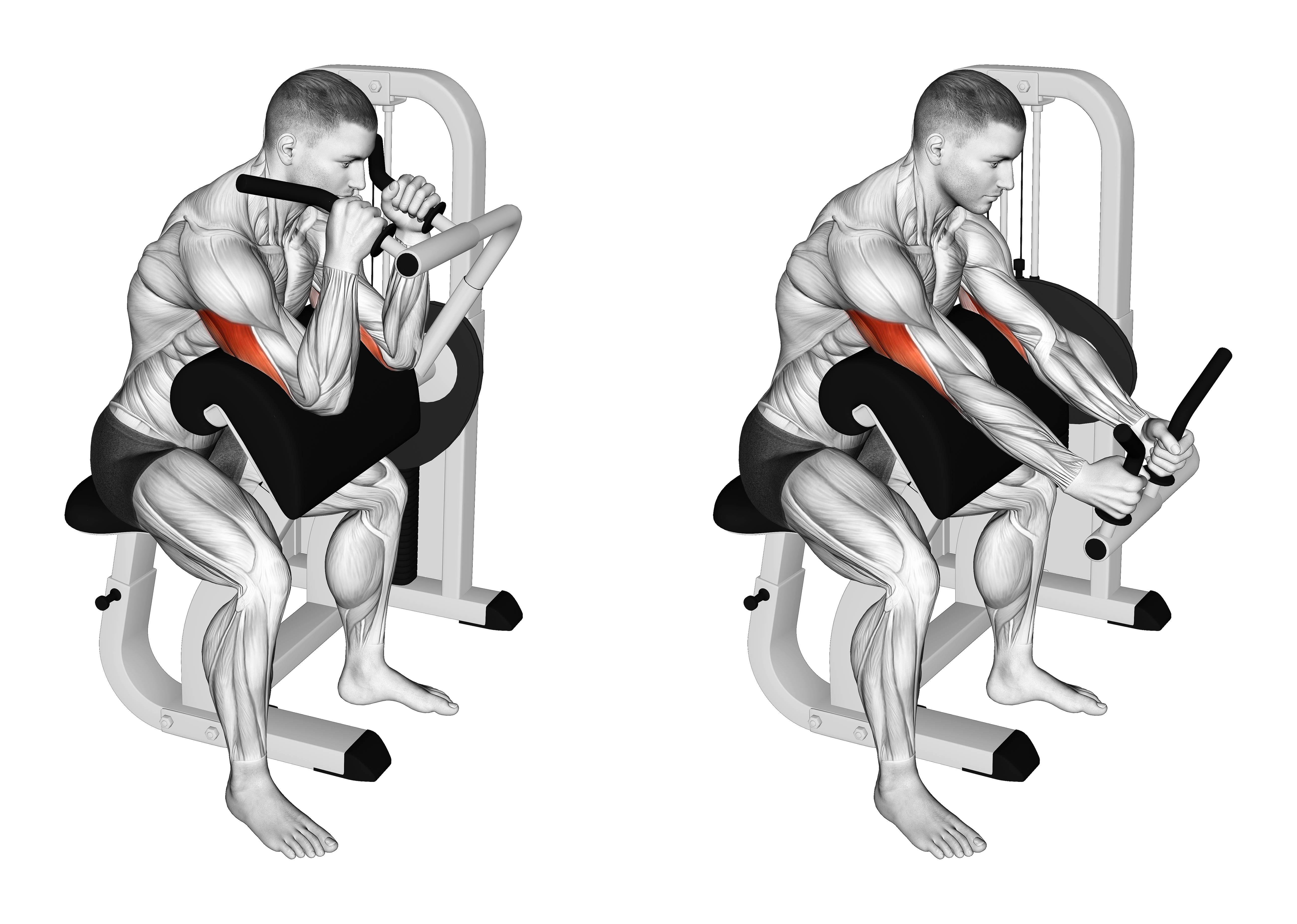 Lever Triceps Extension (version 2)
