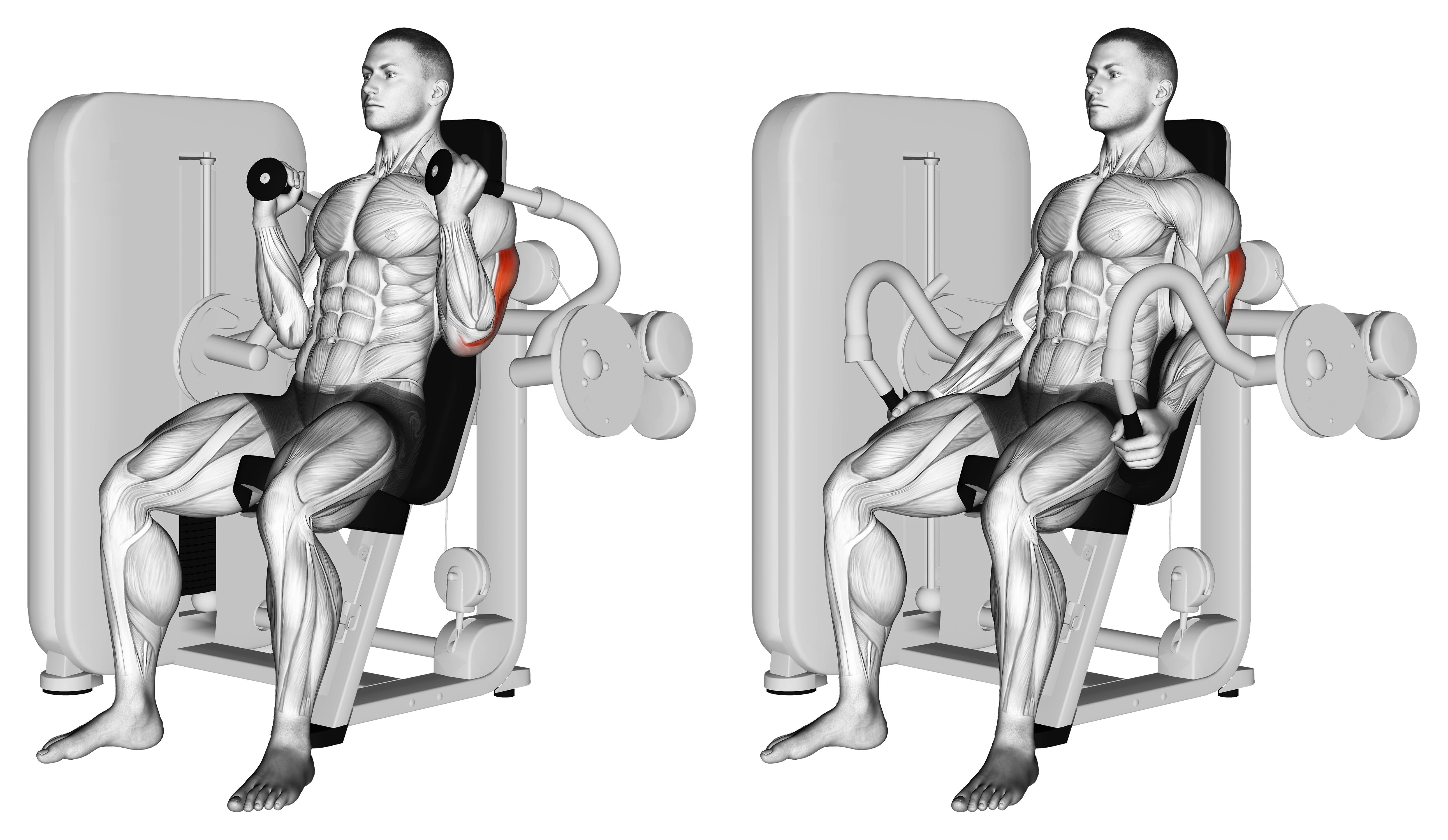Lever Triceps Extension