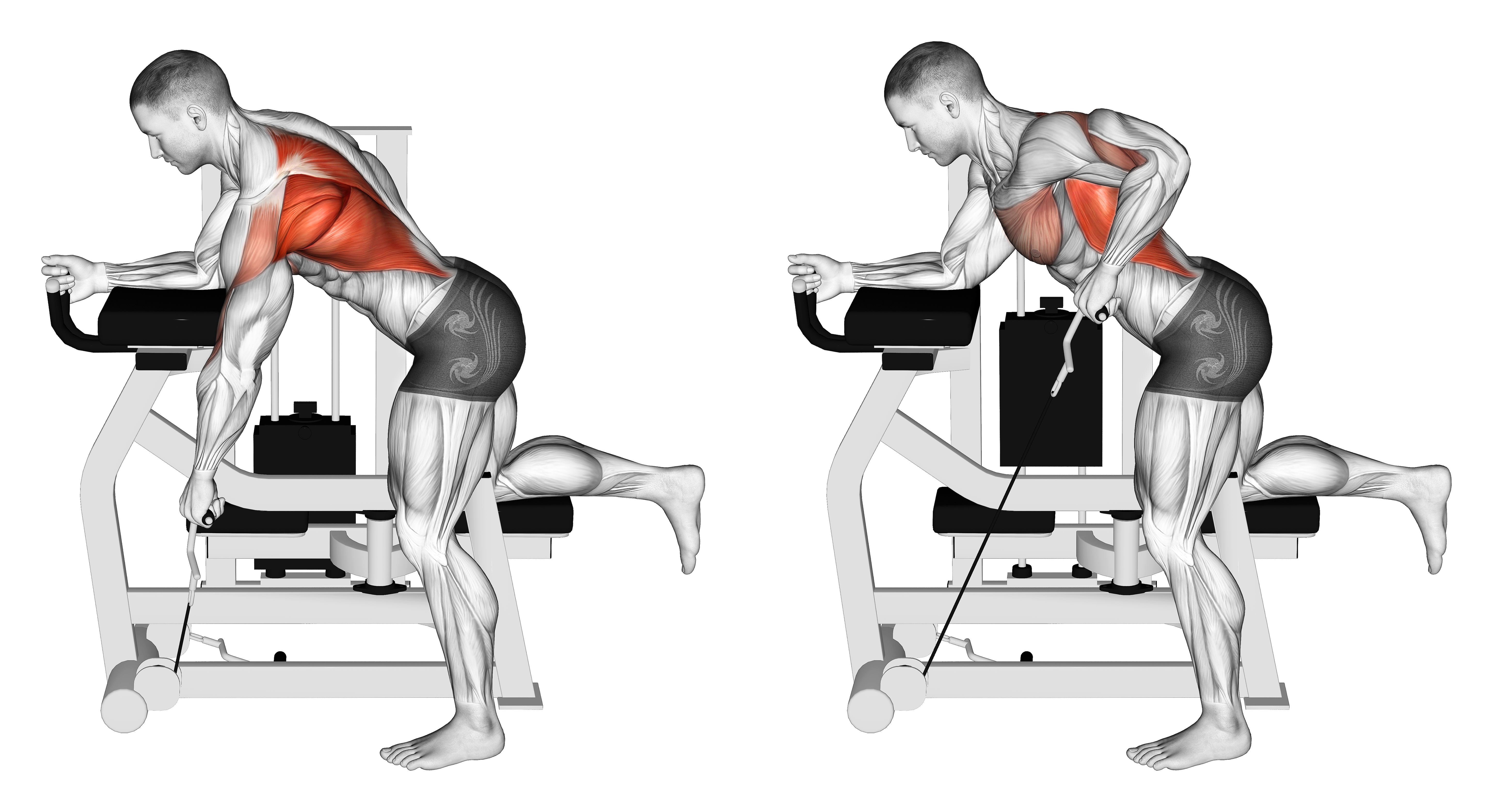 Lever Unilateral Row